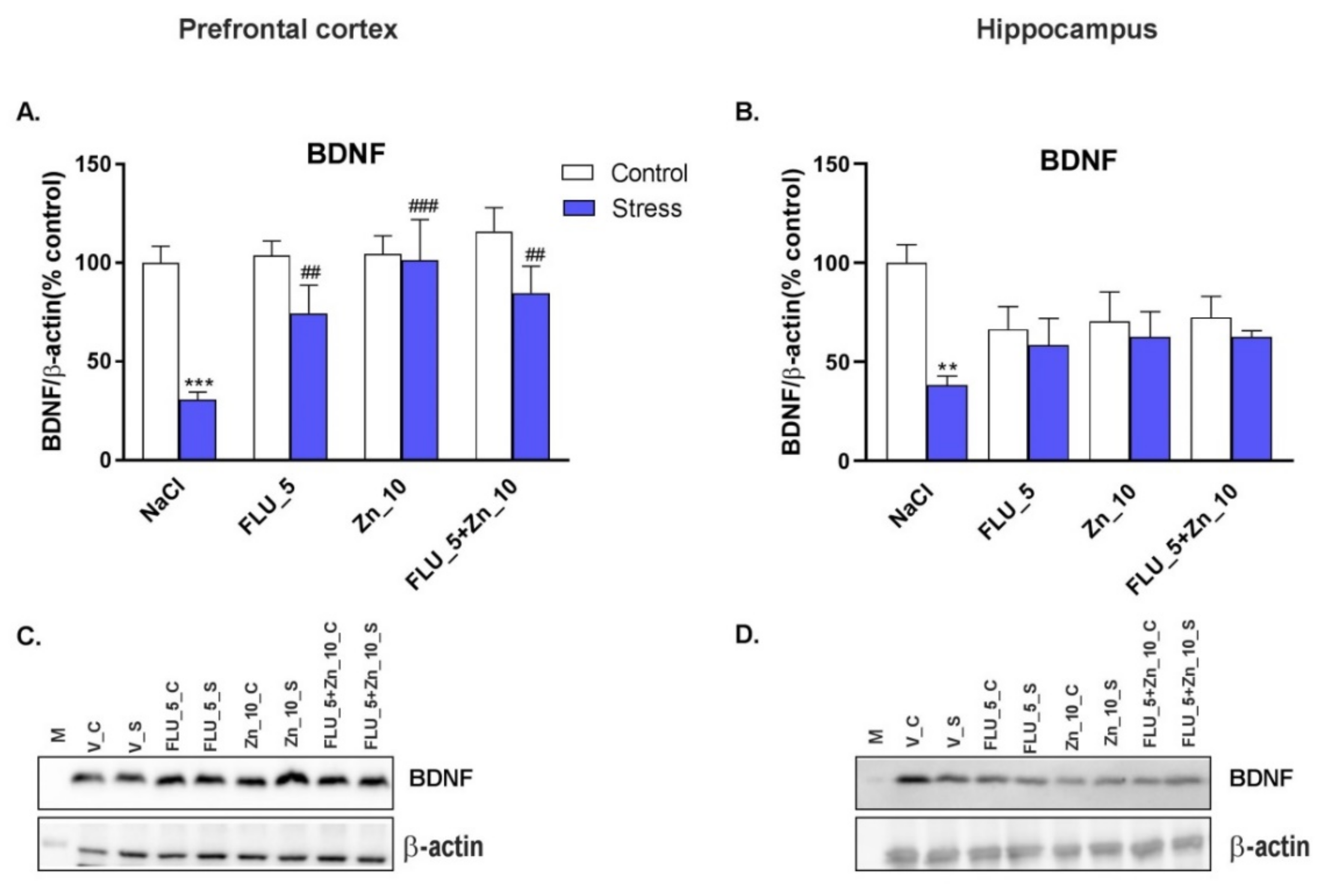 Molecules 27 00022 g004 Molecules 27 00022 g004