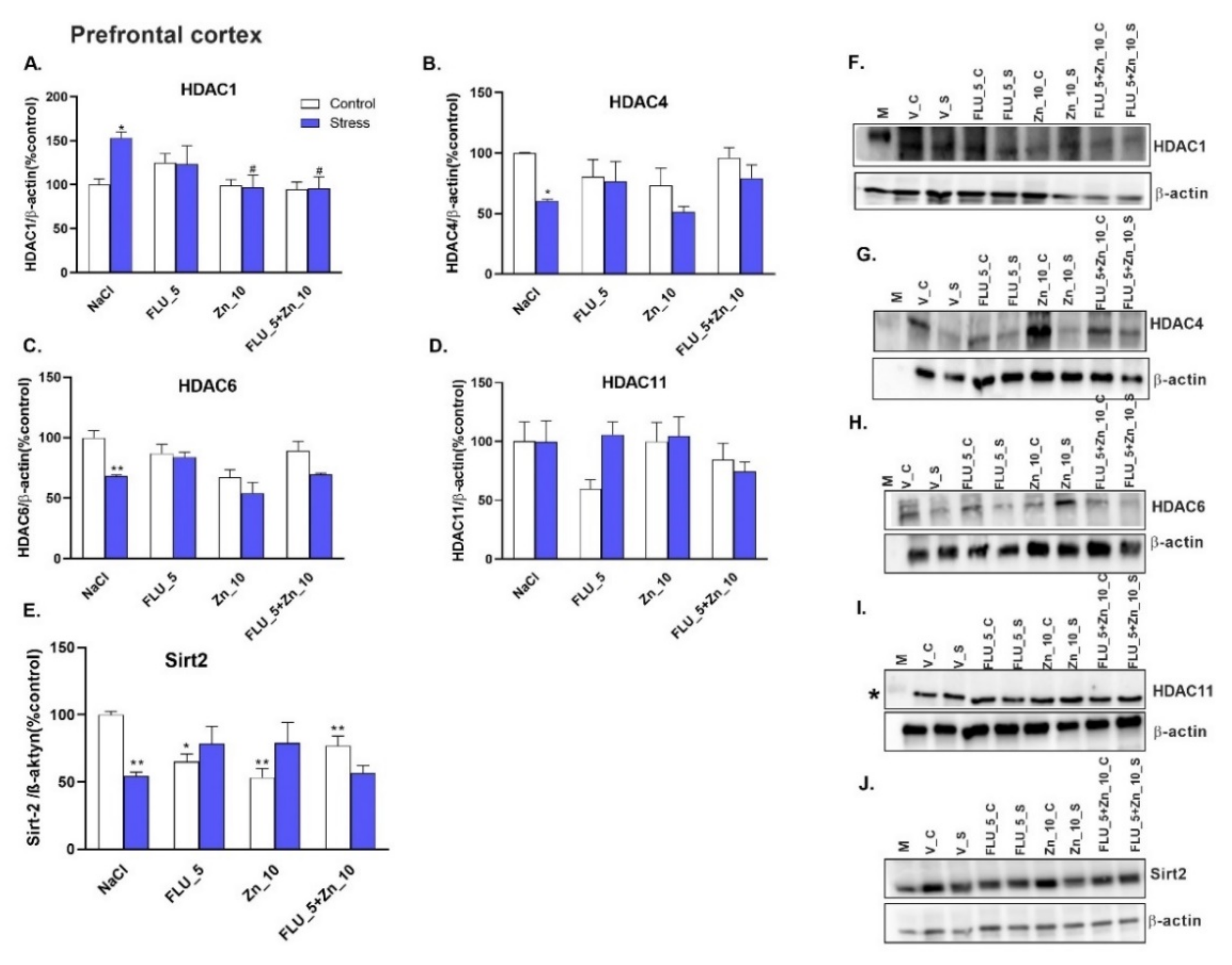Molecules 27 00022 g008 Molecules 27 00022 g008