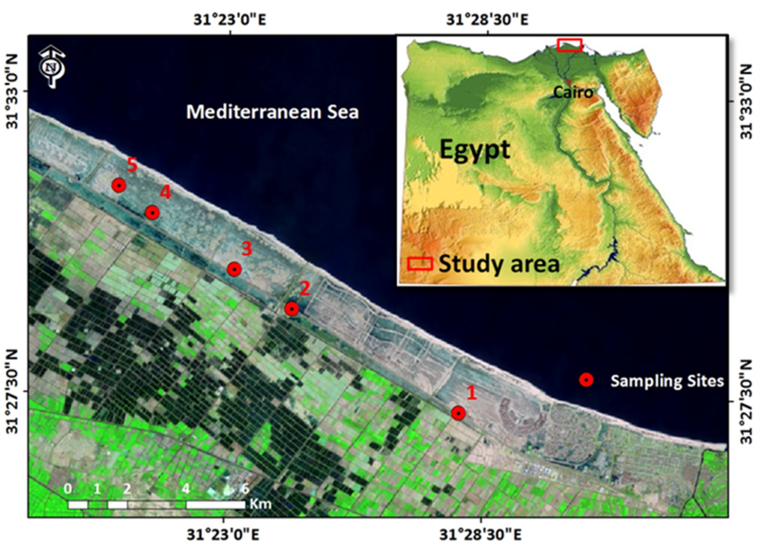 Molecules 27 00028 g002