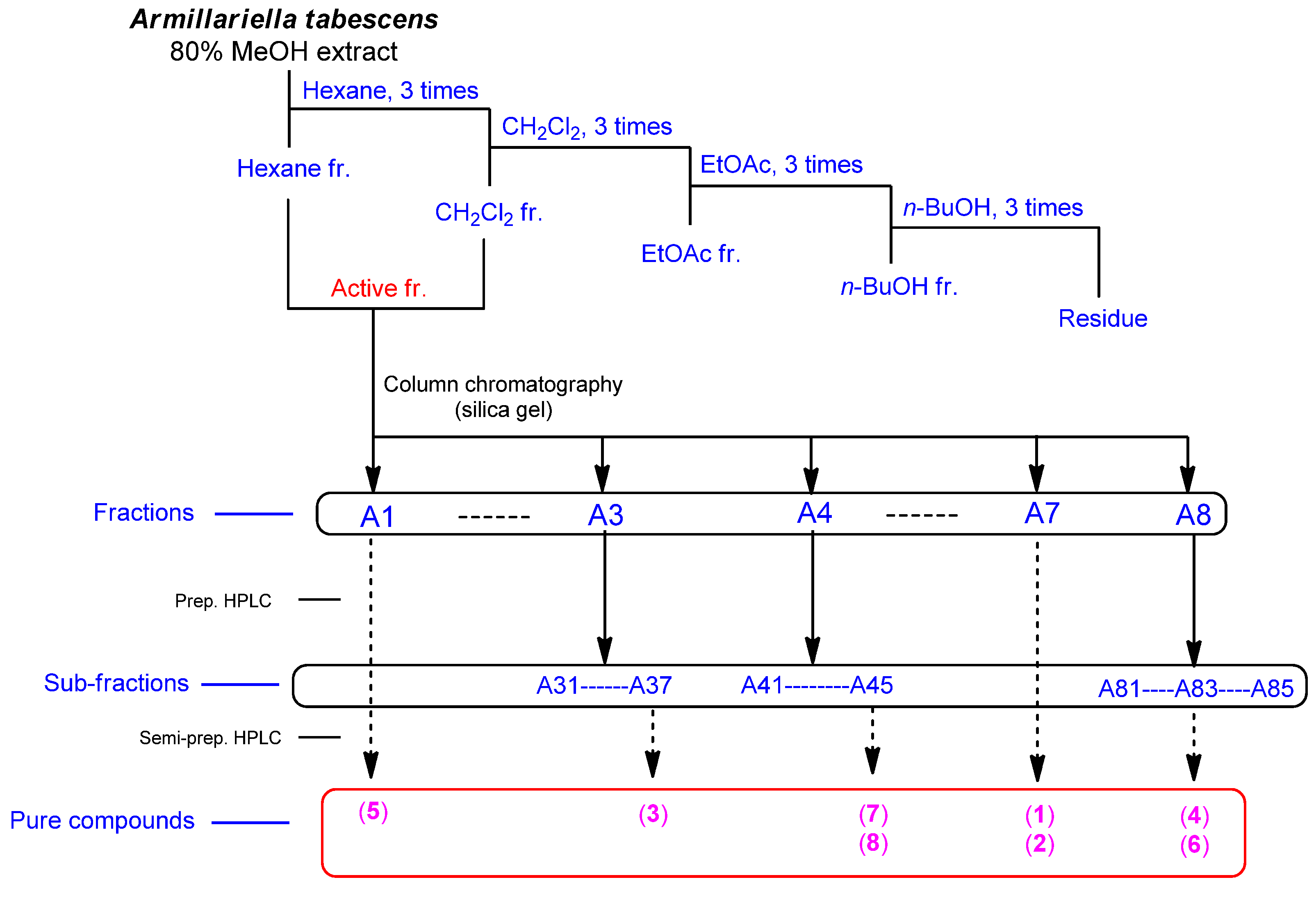 Molecules 27 00036 g003