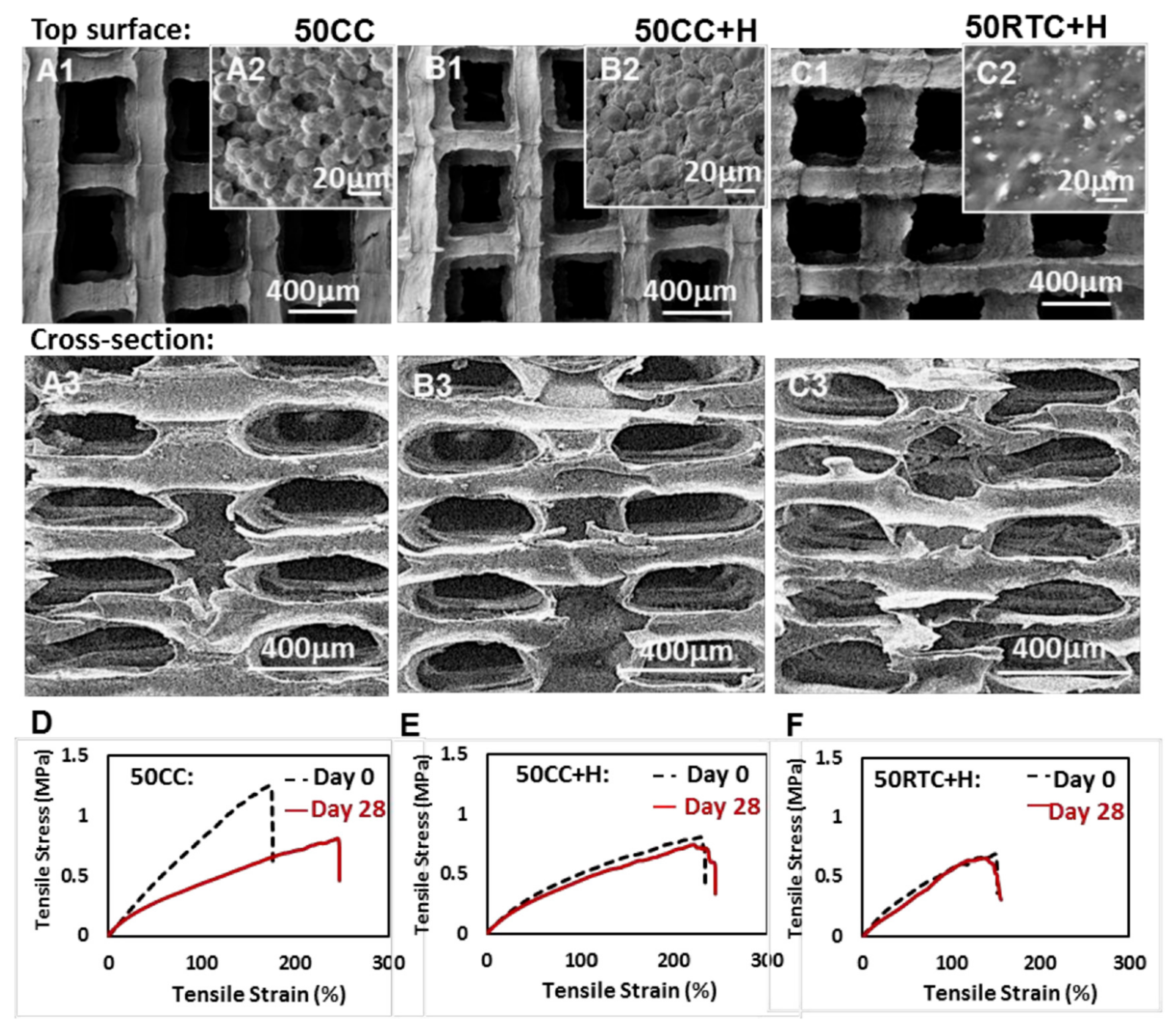 Molecules 27 00040 g007 Molecules 27 00040 g007