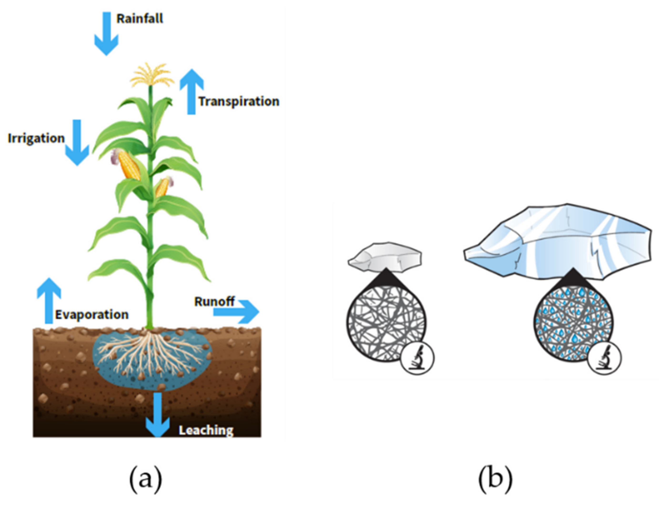 Molecules | Free Full-Text | Spotlight on the Life Cycle of  Acrylamide-Based Polymers Supporting Reductions in Environmental Footprint:  Review and Recent Advances