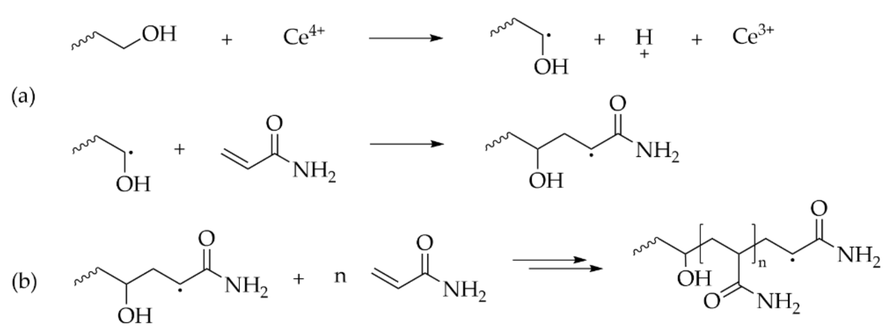 Molecules 27 00042 g004