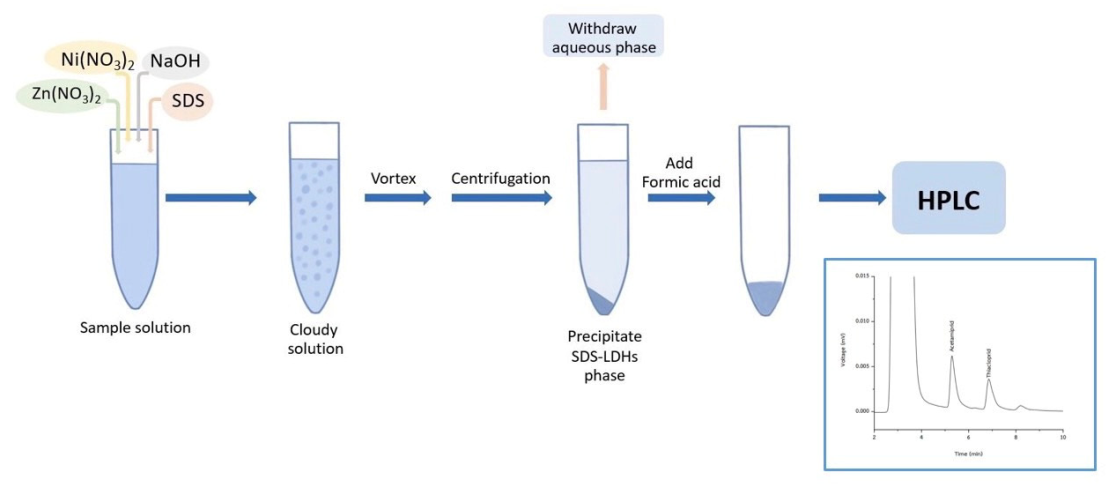 Molecules 27 00043 g006