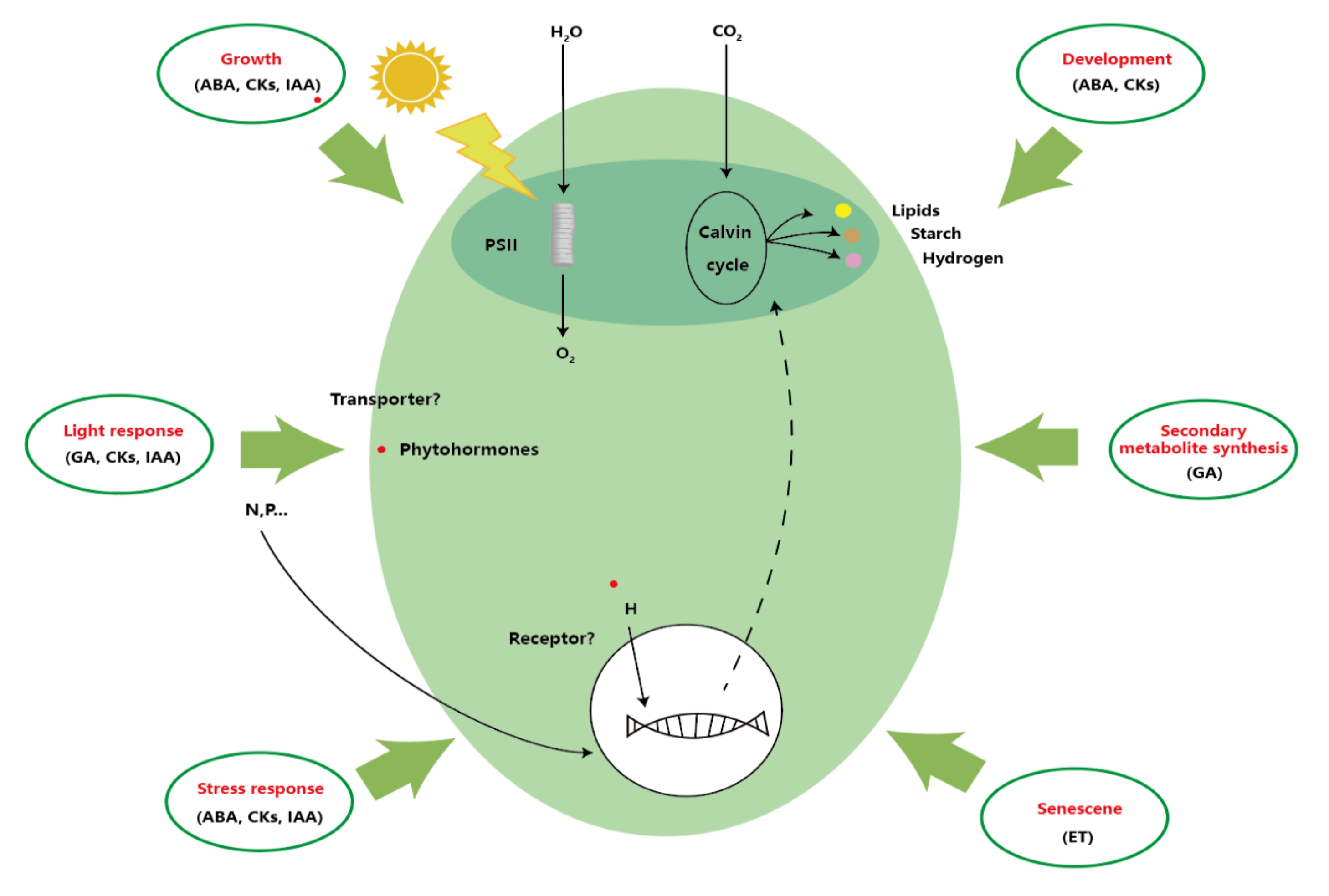 Molecules 27 00046 g002 550