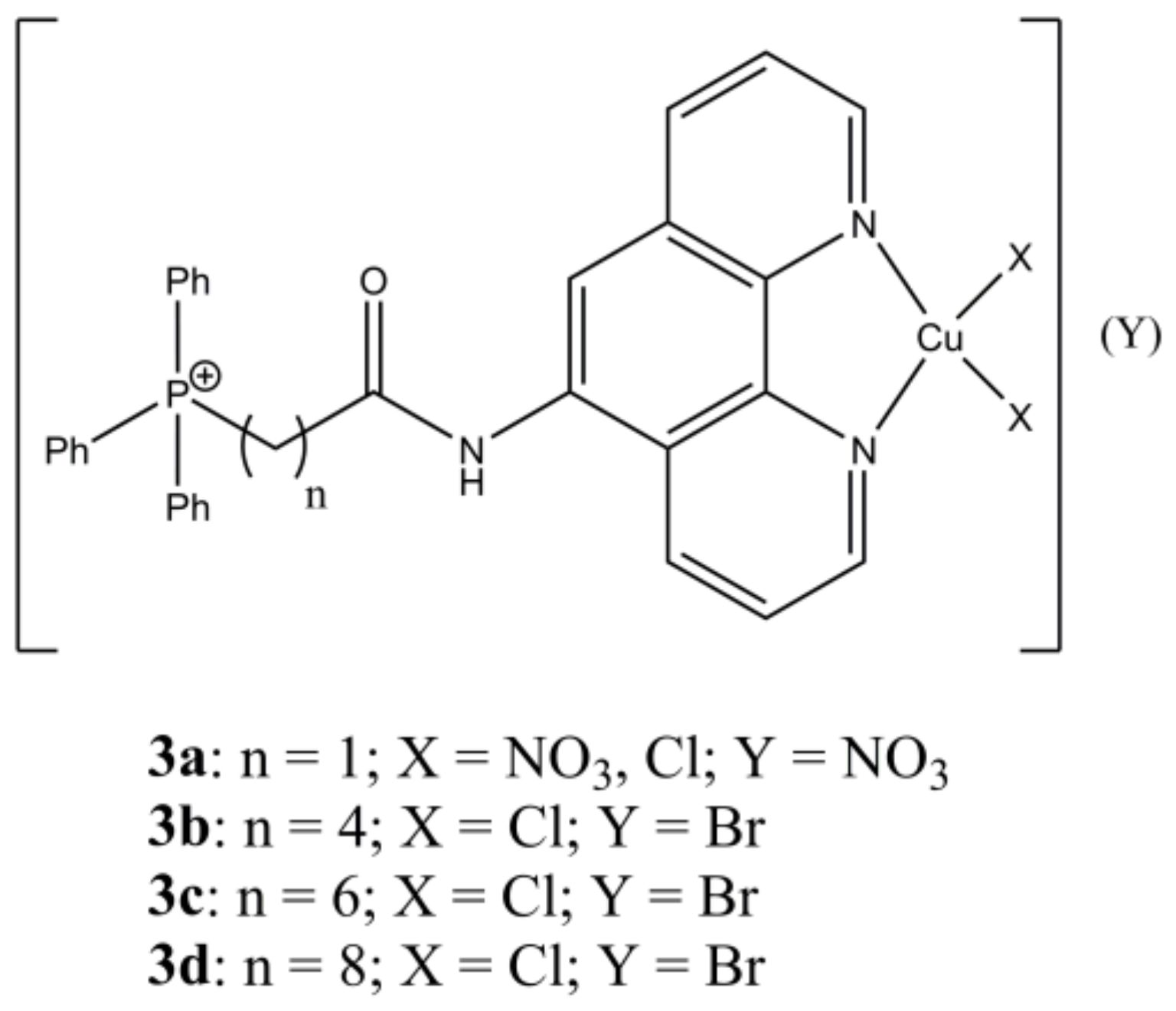 Molecules 27 00049 g003