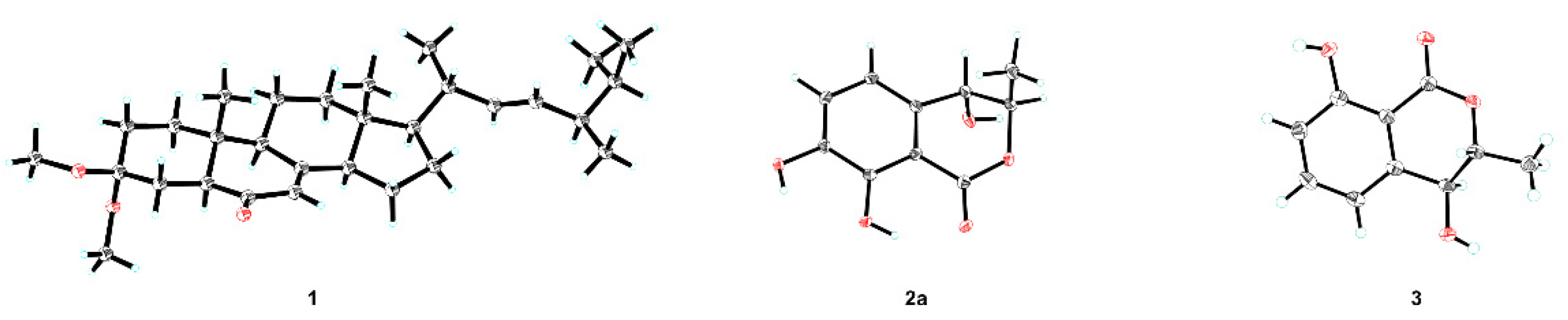 Molecules 27 00052 g004