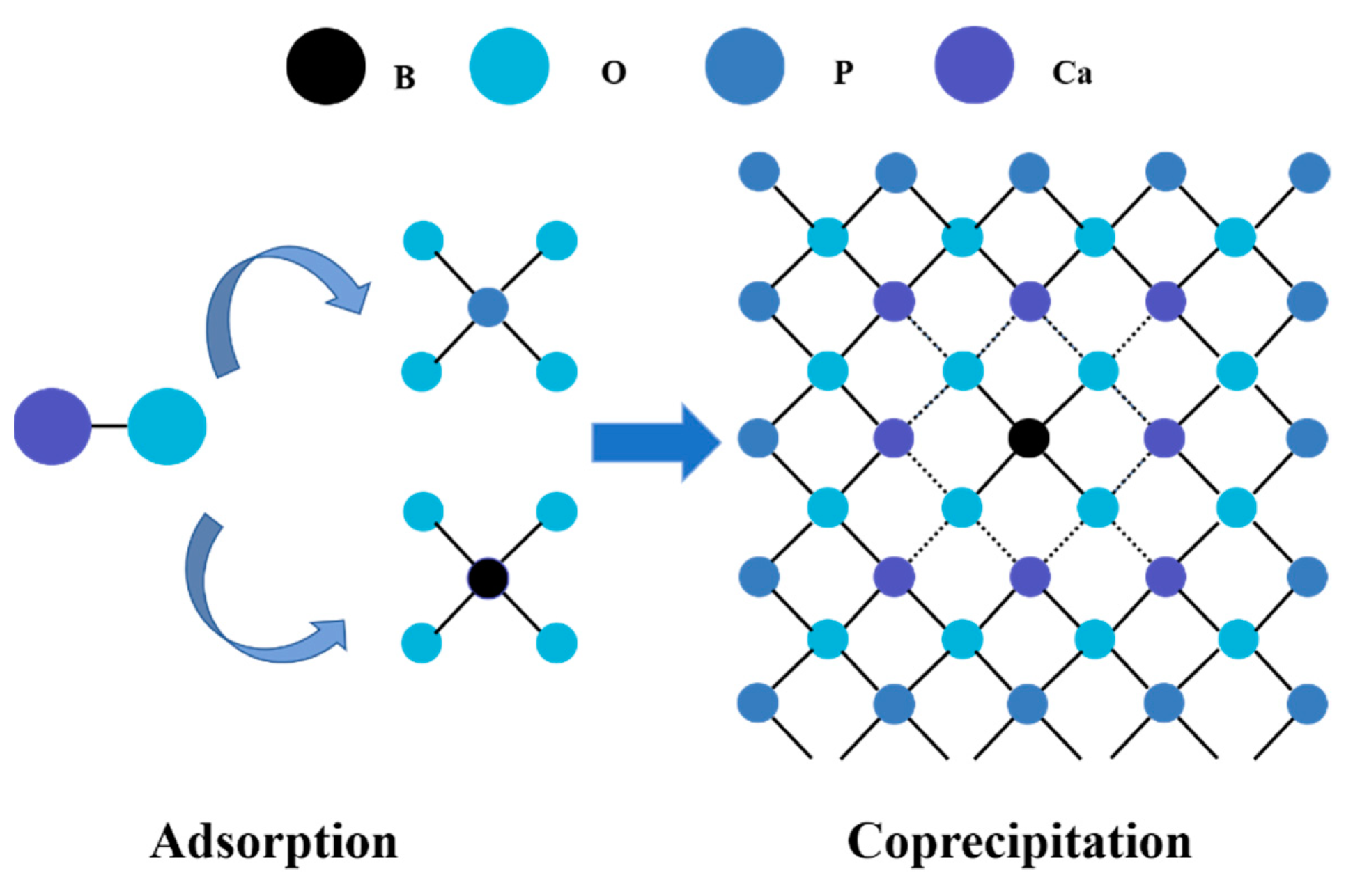 Molecules 27 00054 g008 550