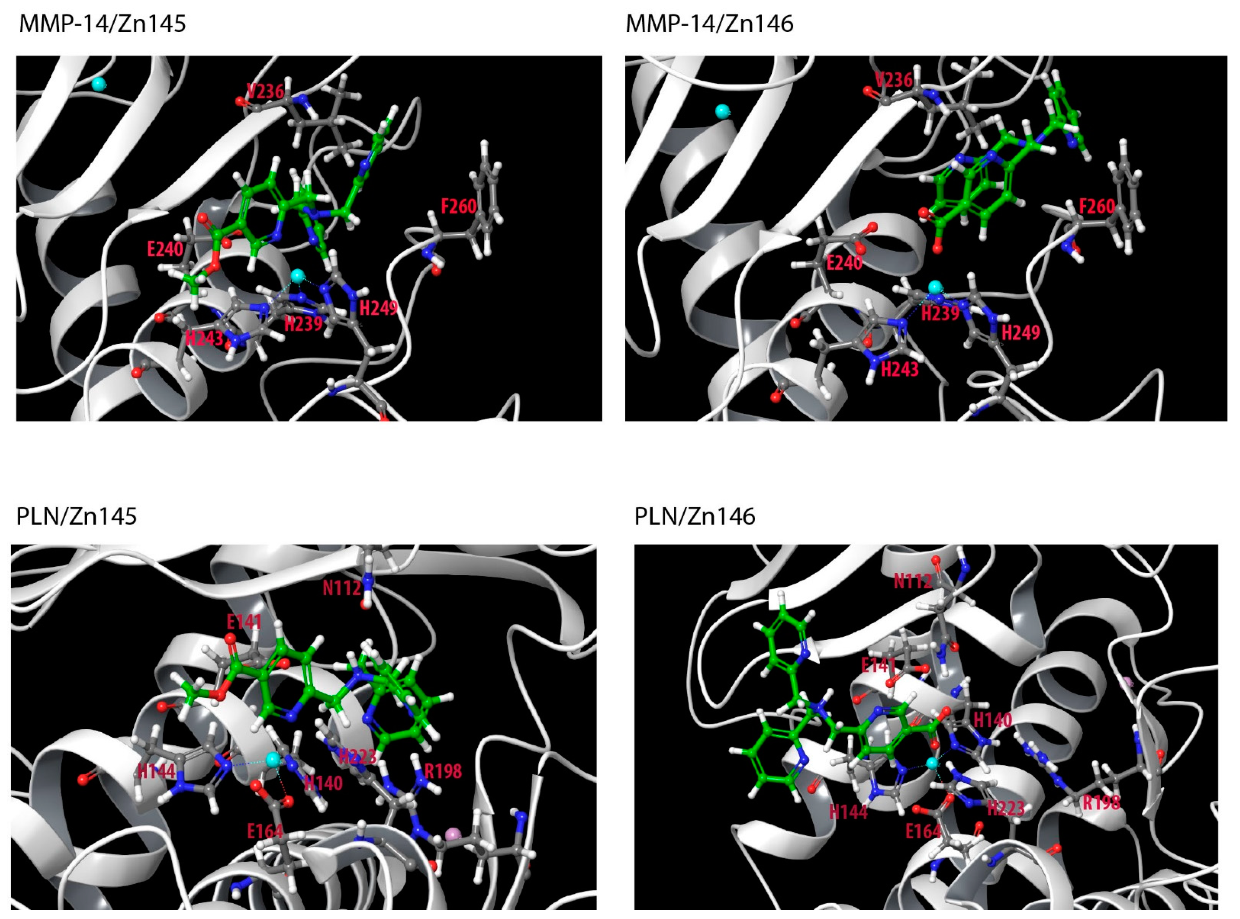 Molecules 27 00056 g006 550