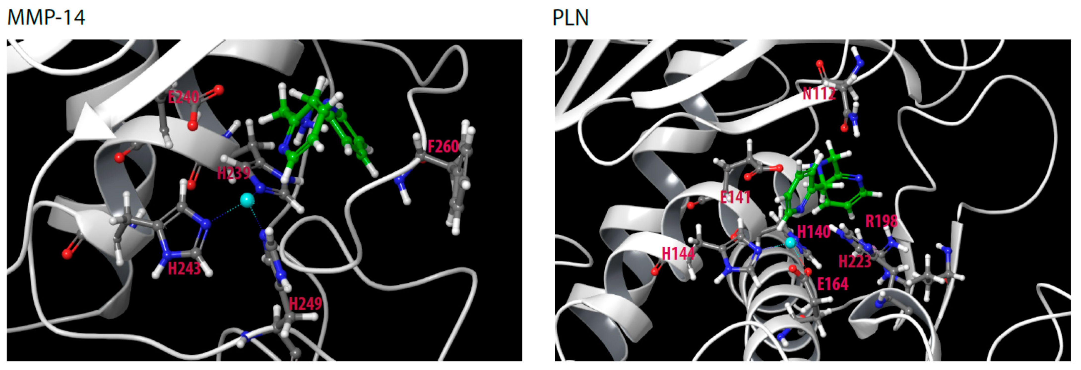 Molecules 27 00056 g007 550