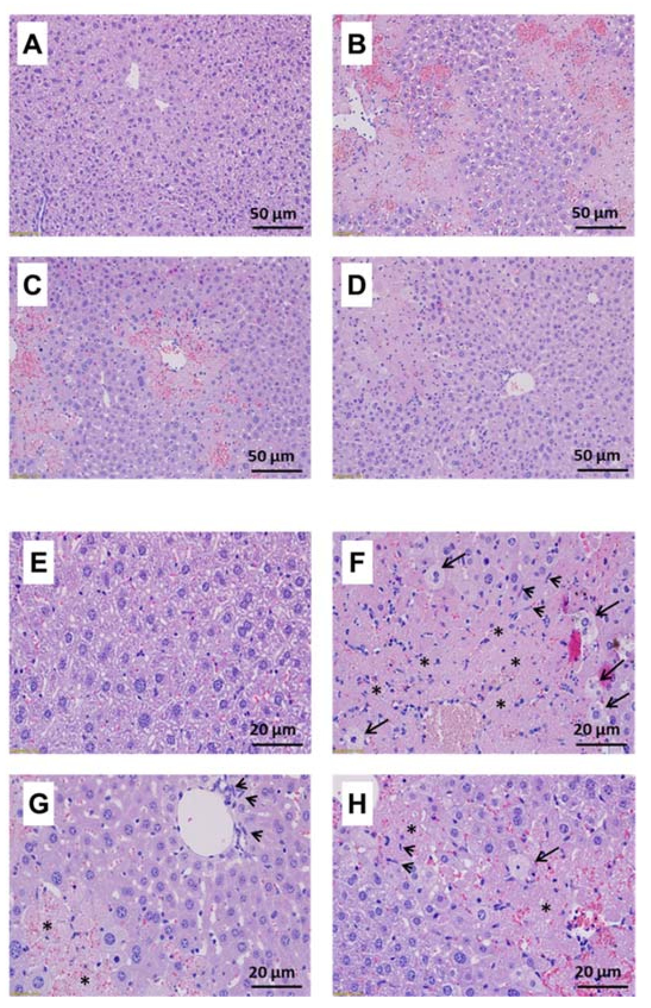 Molecules 27 00059 g005