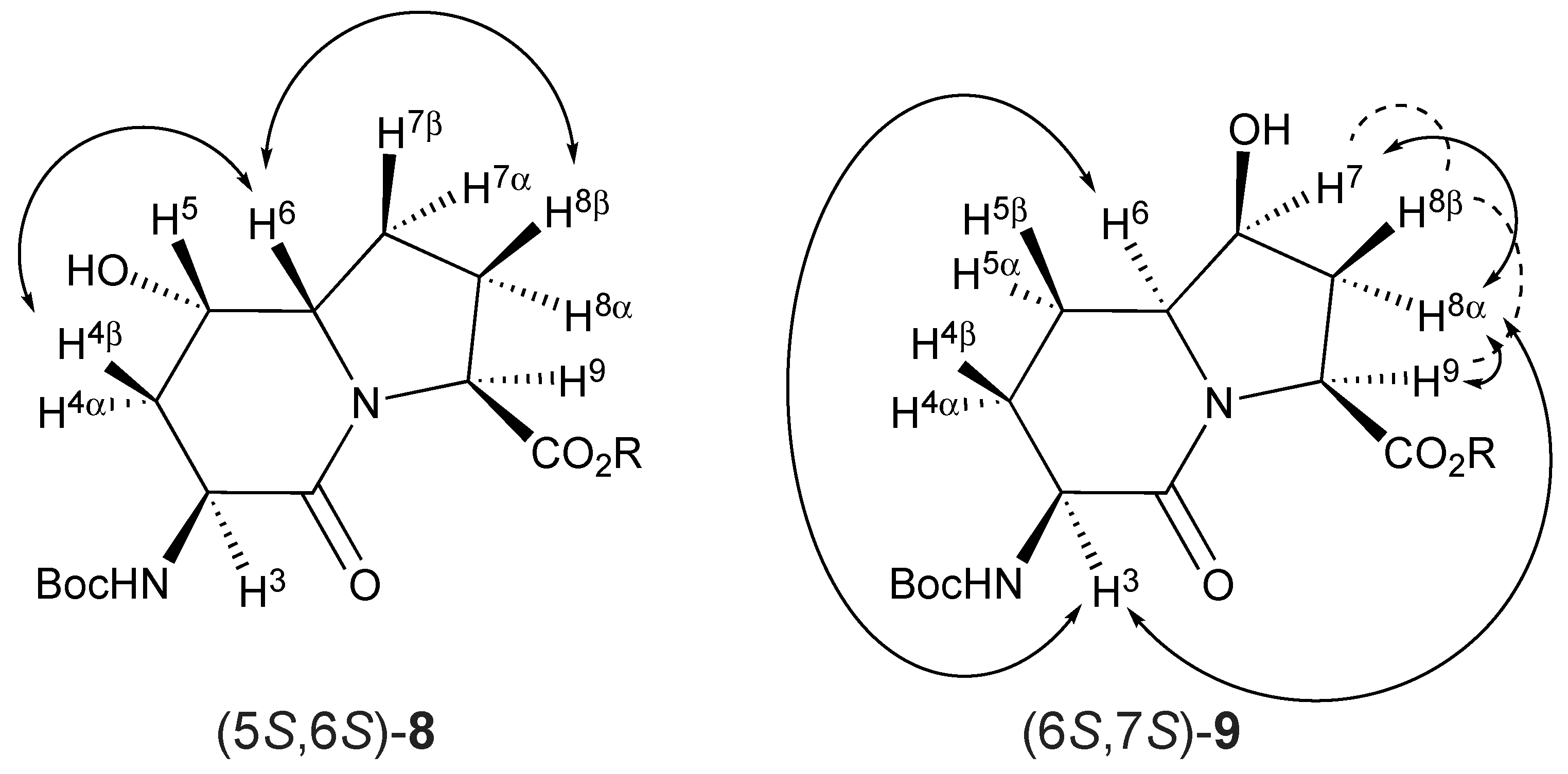 Molecules 27 00067 g002 550