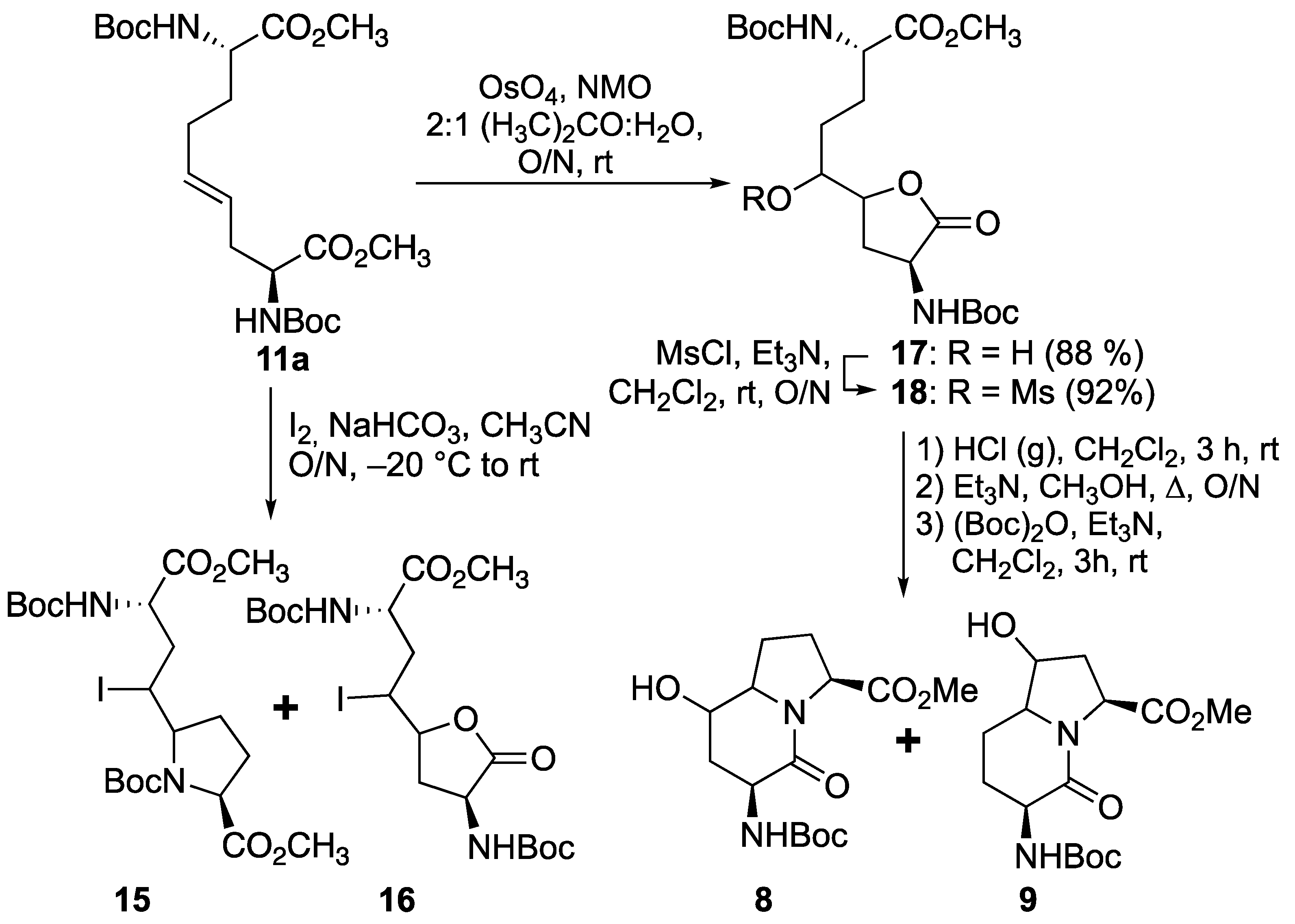 Molecules 27 00067 sch003 550