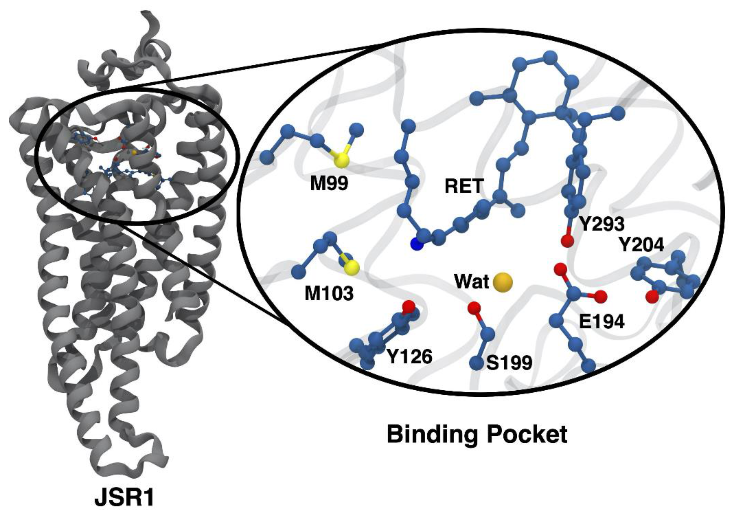 Molecules 27 00071 g001