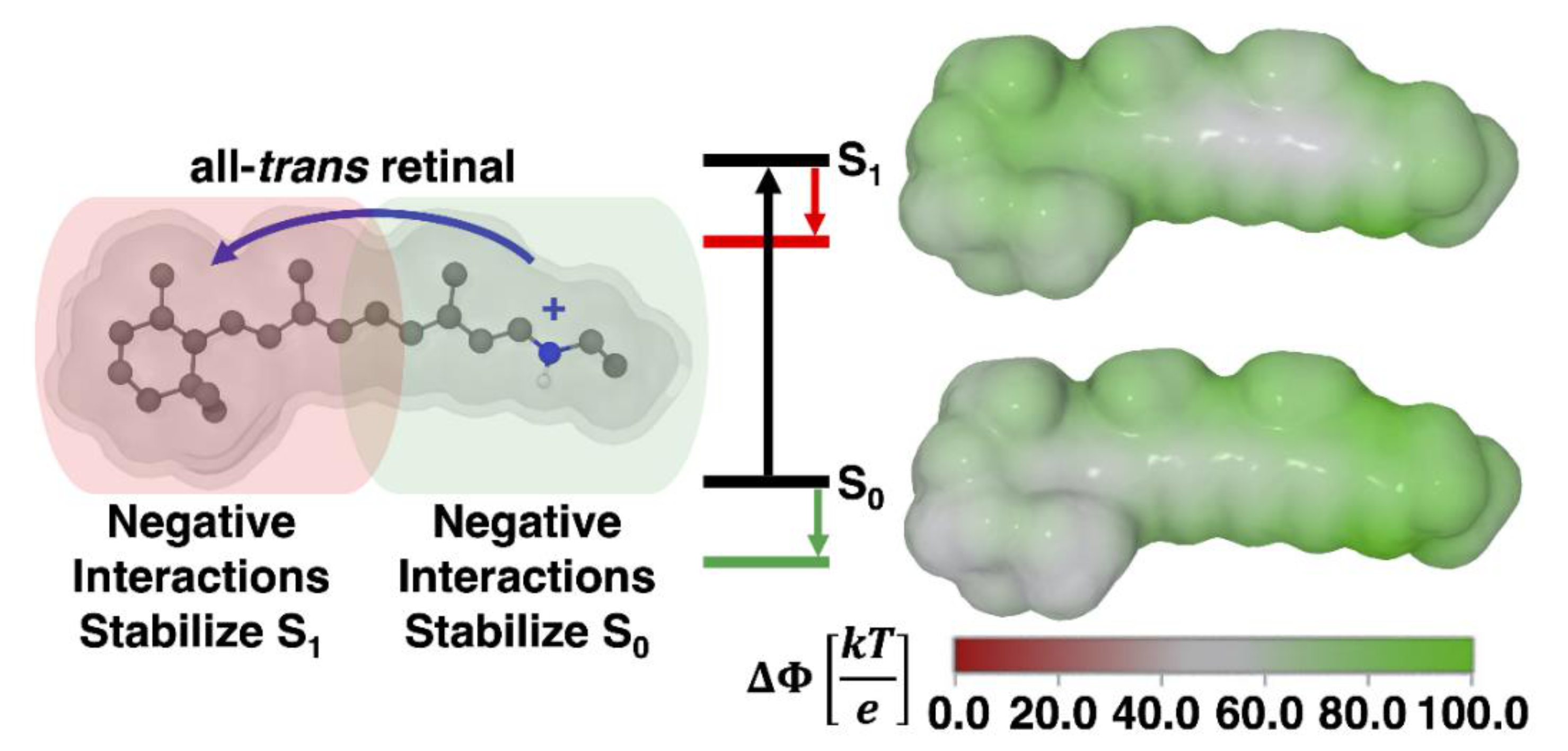 Molecules 27 00071 g007