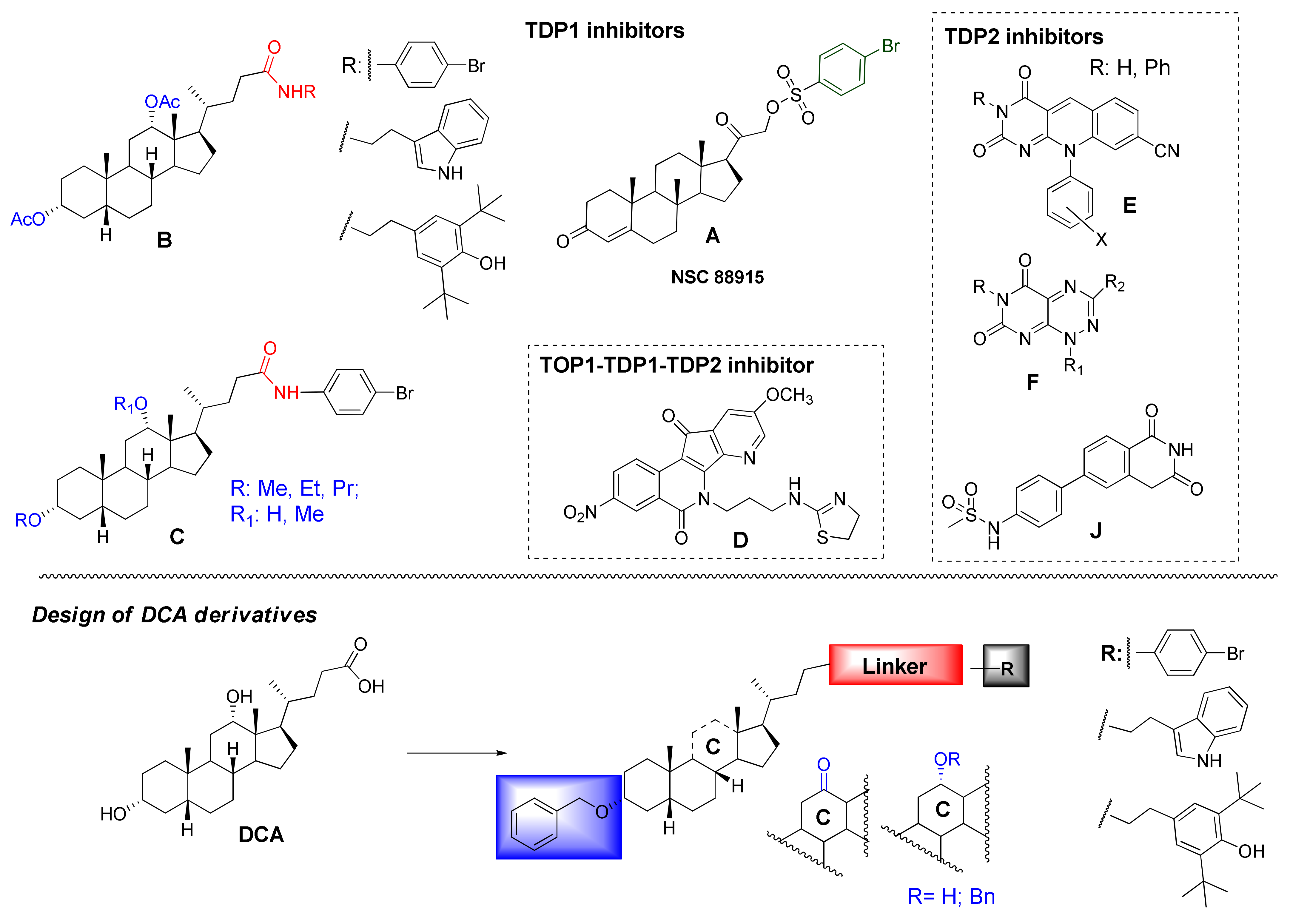Molecules 27 00072 g001 550