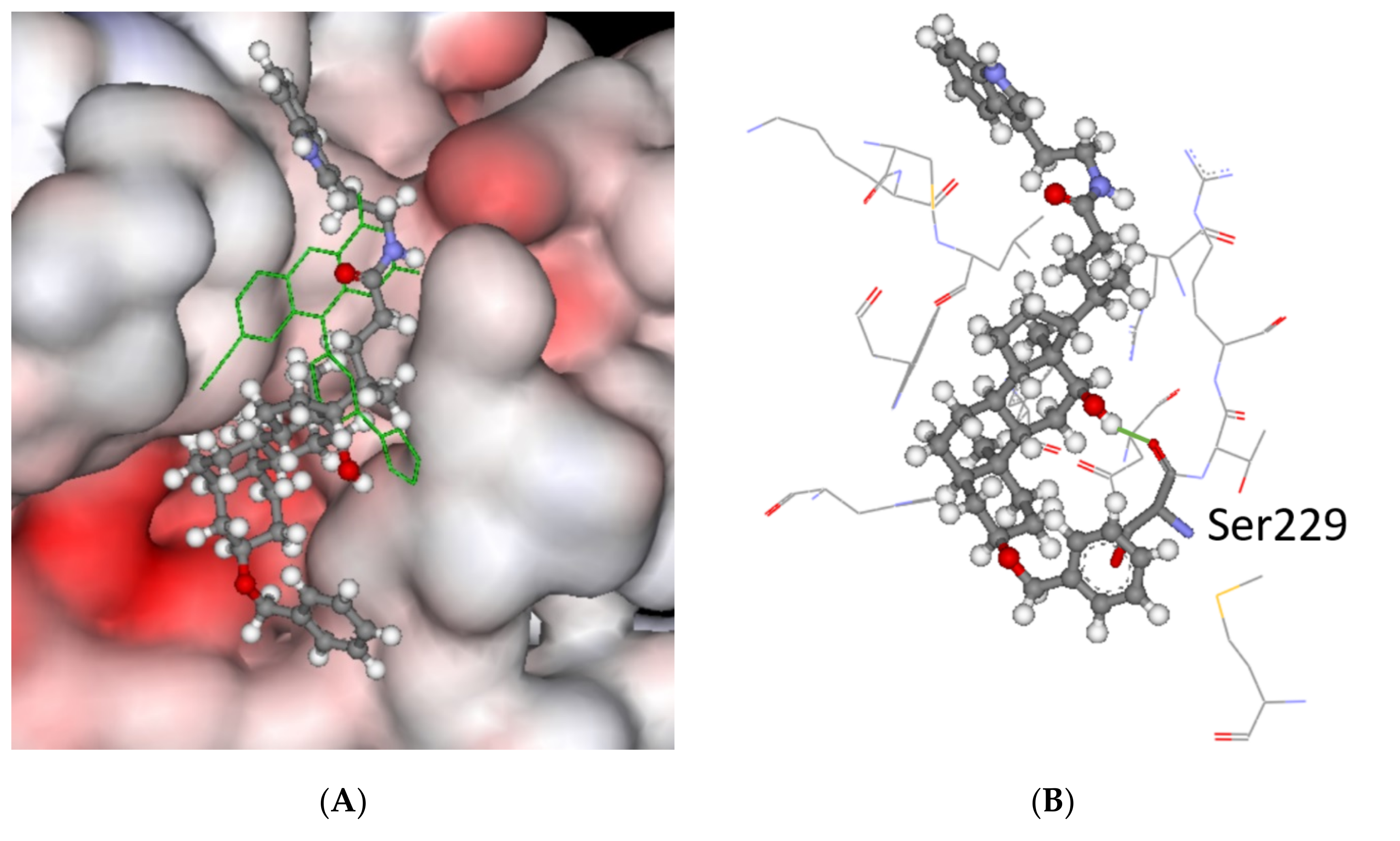 Molecules 27 00072 g005 550