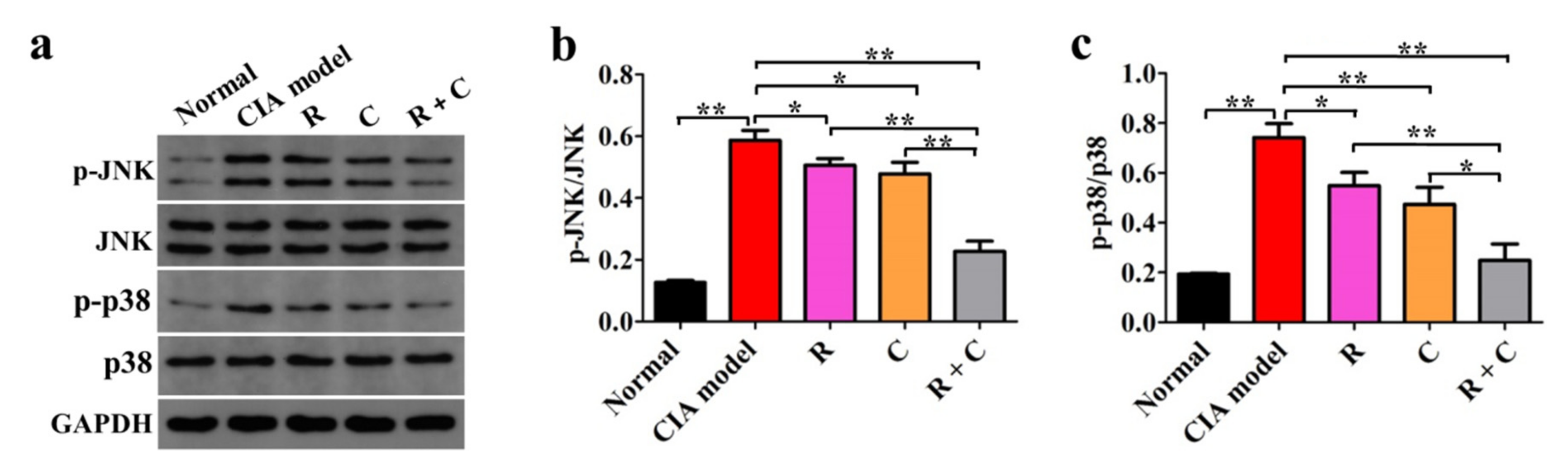 Molecules 27 00078 g007