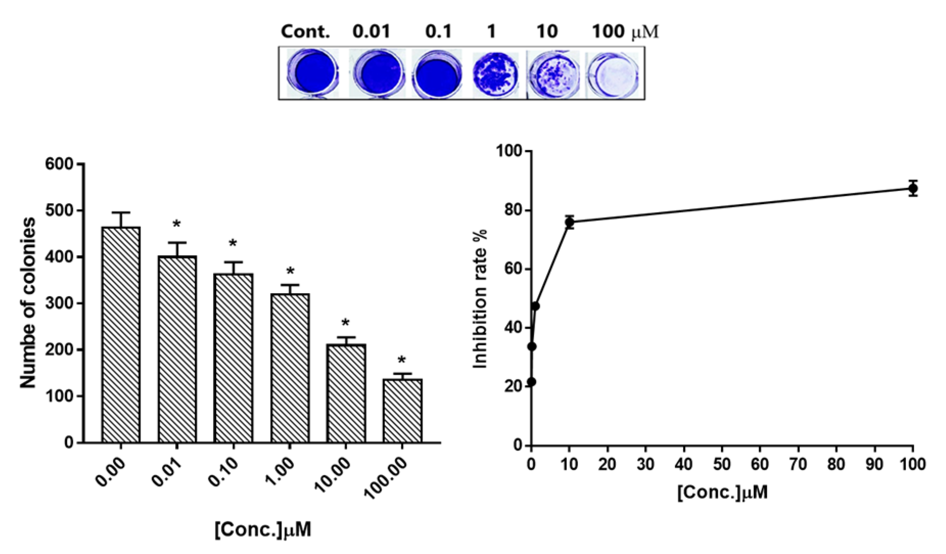 Molecules 27 00083 g002