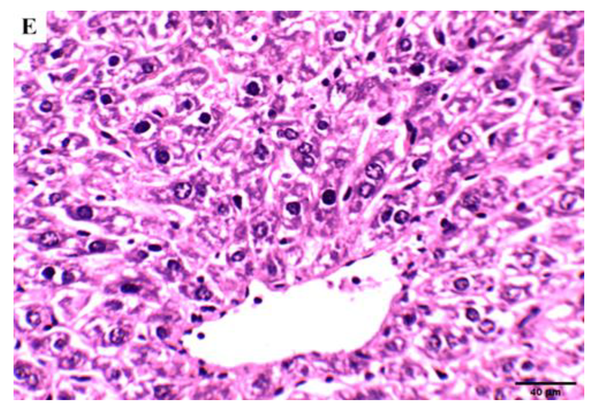 Molecules 27 00083 g008b