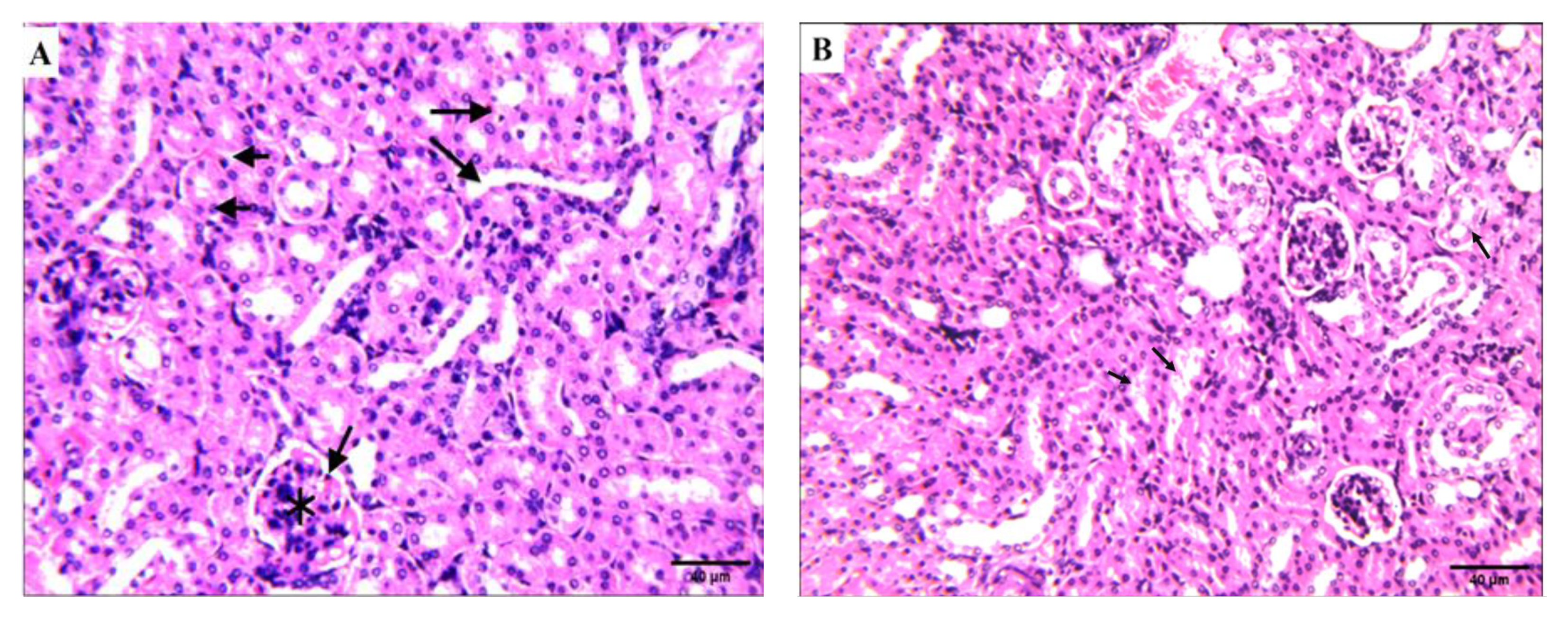 Molecules 27 00083 g009a