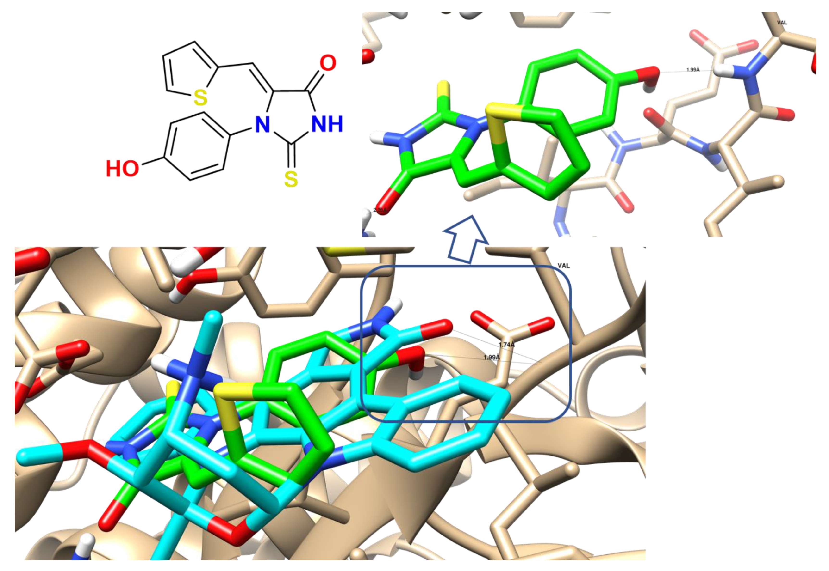 Molecules 27 00083 g010