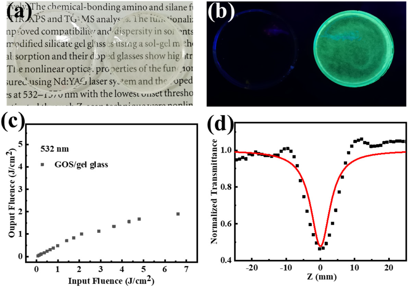 Molecules 27 00085 g004