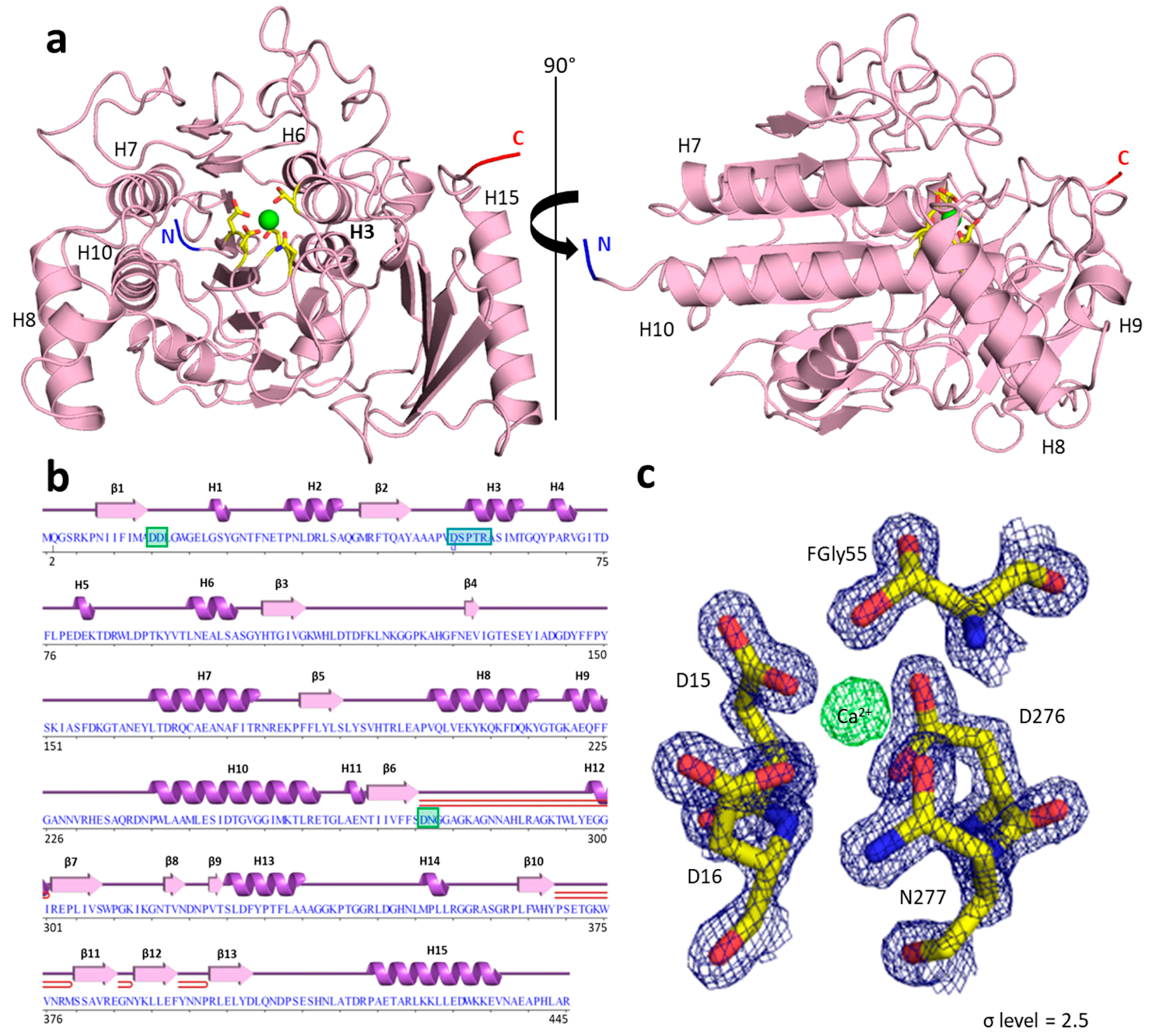 Molecules 27 00087 g002