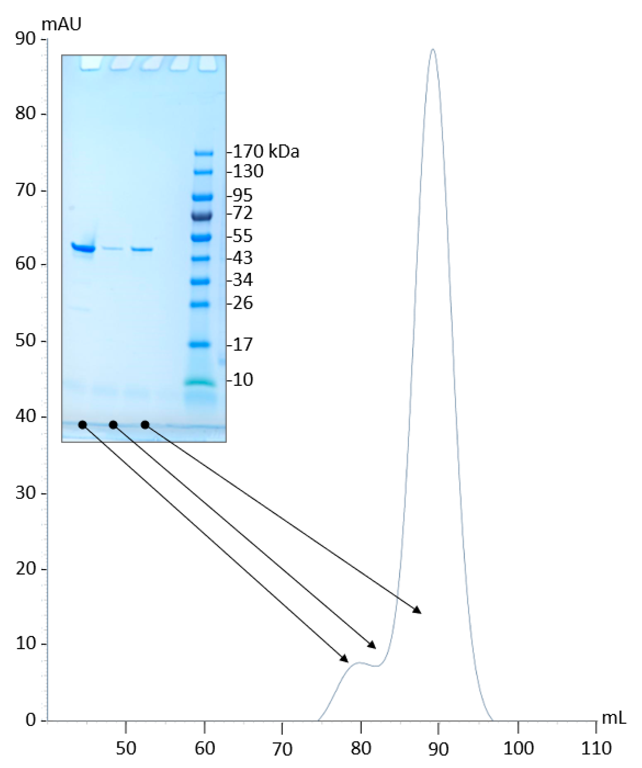 Molecules 27 00087 g003