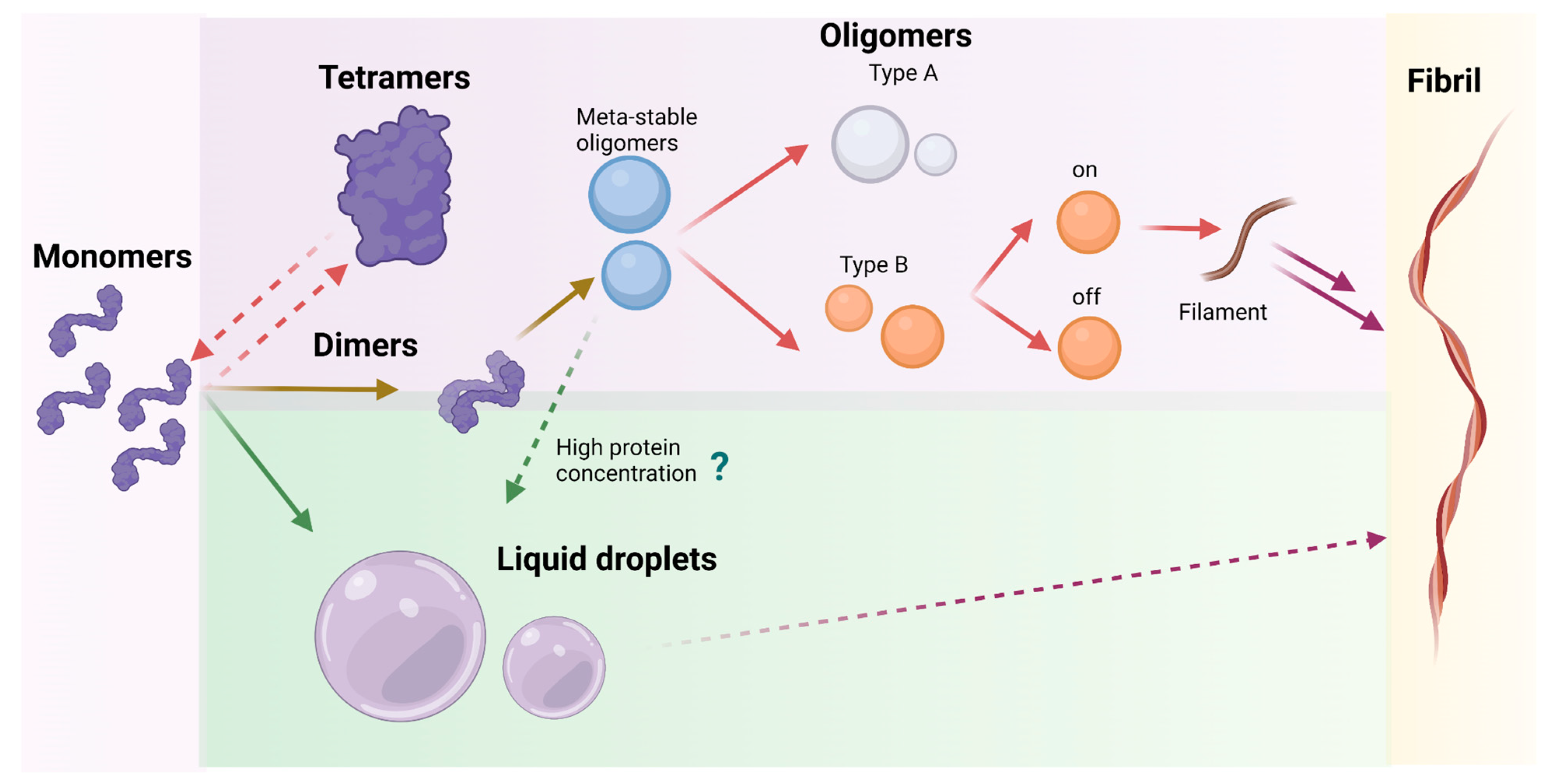Molecules 27 00088 g002 550