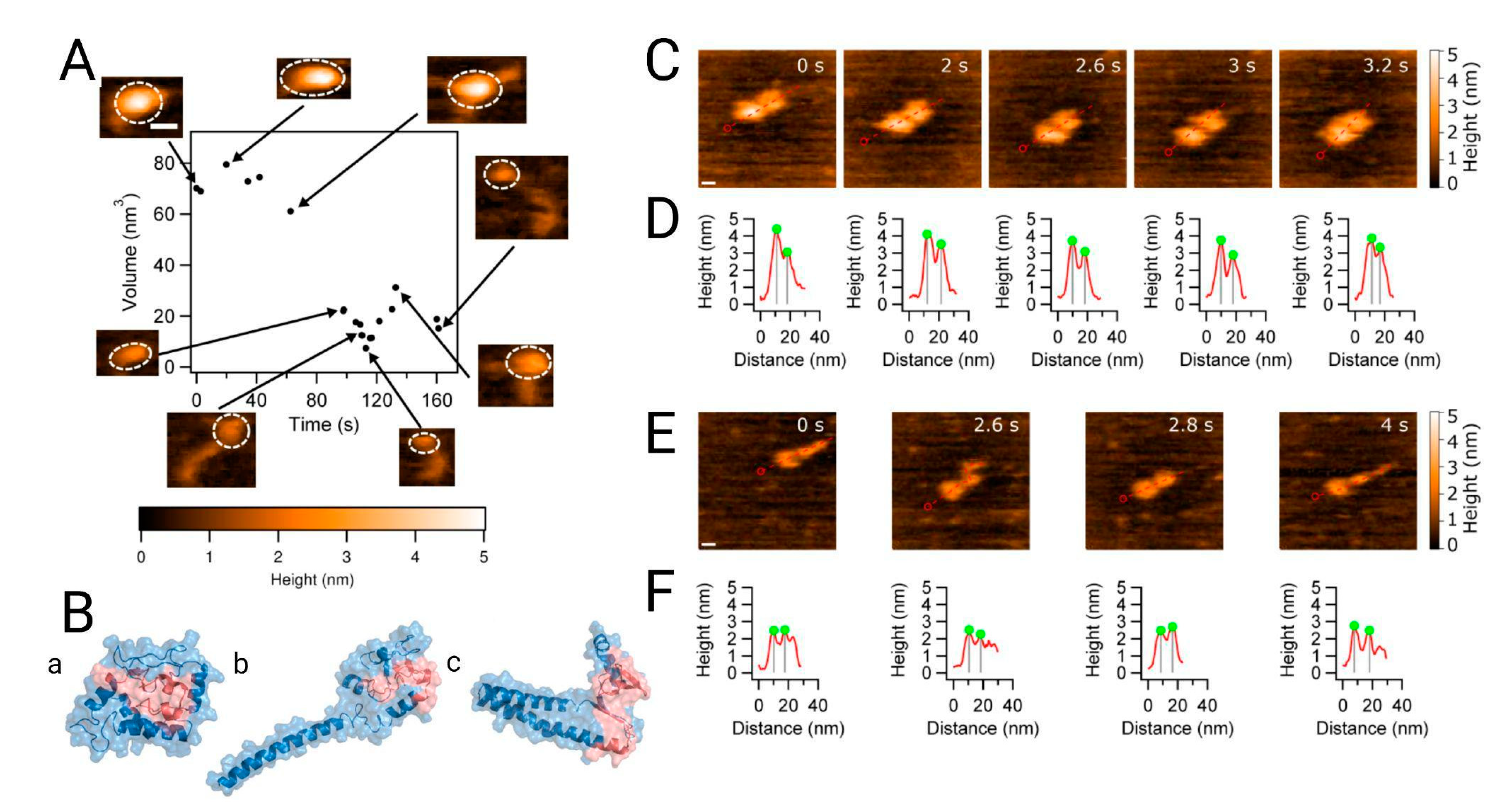 Molecules 27 00088 g003 550