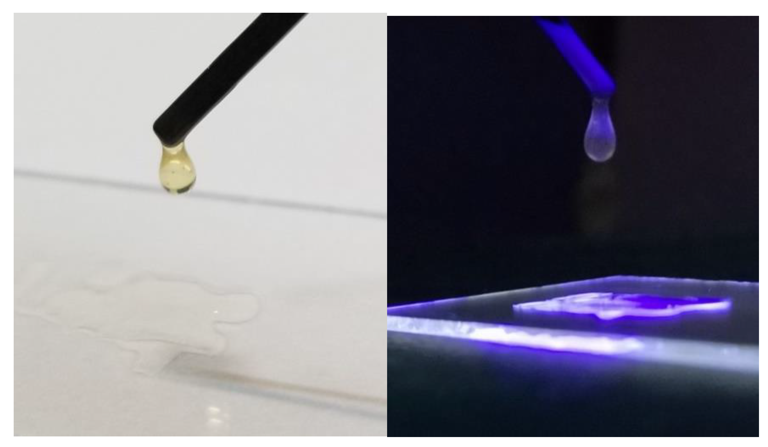 Molecules 27 00089 g002