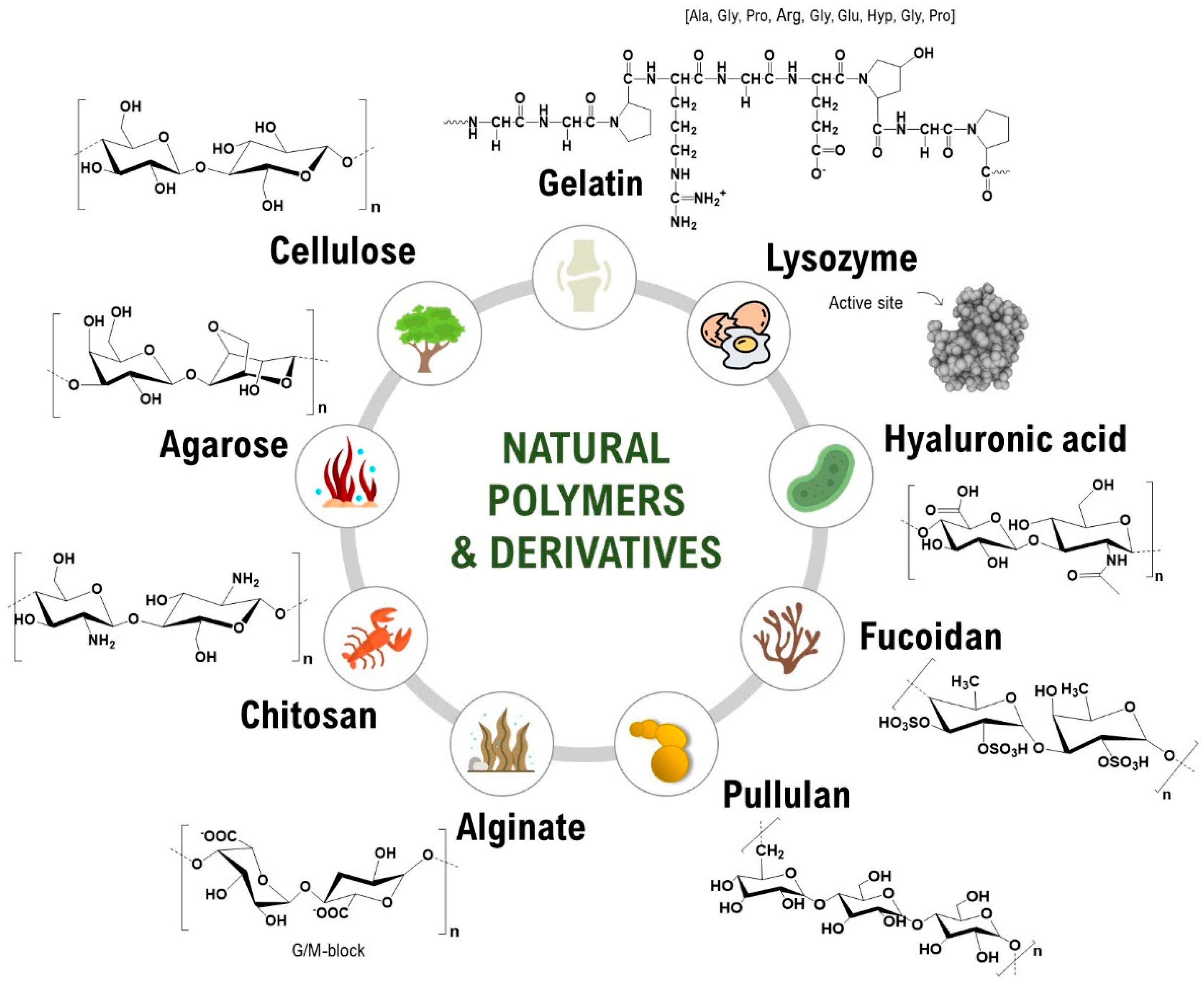 Which Of The Following Is A Natural Polymer Natural Polymers-Based Materials: A Contribution to a Greener Future