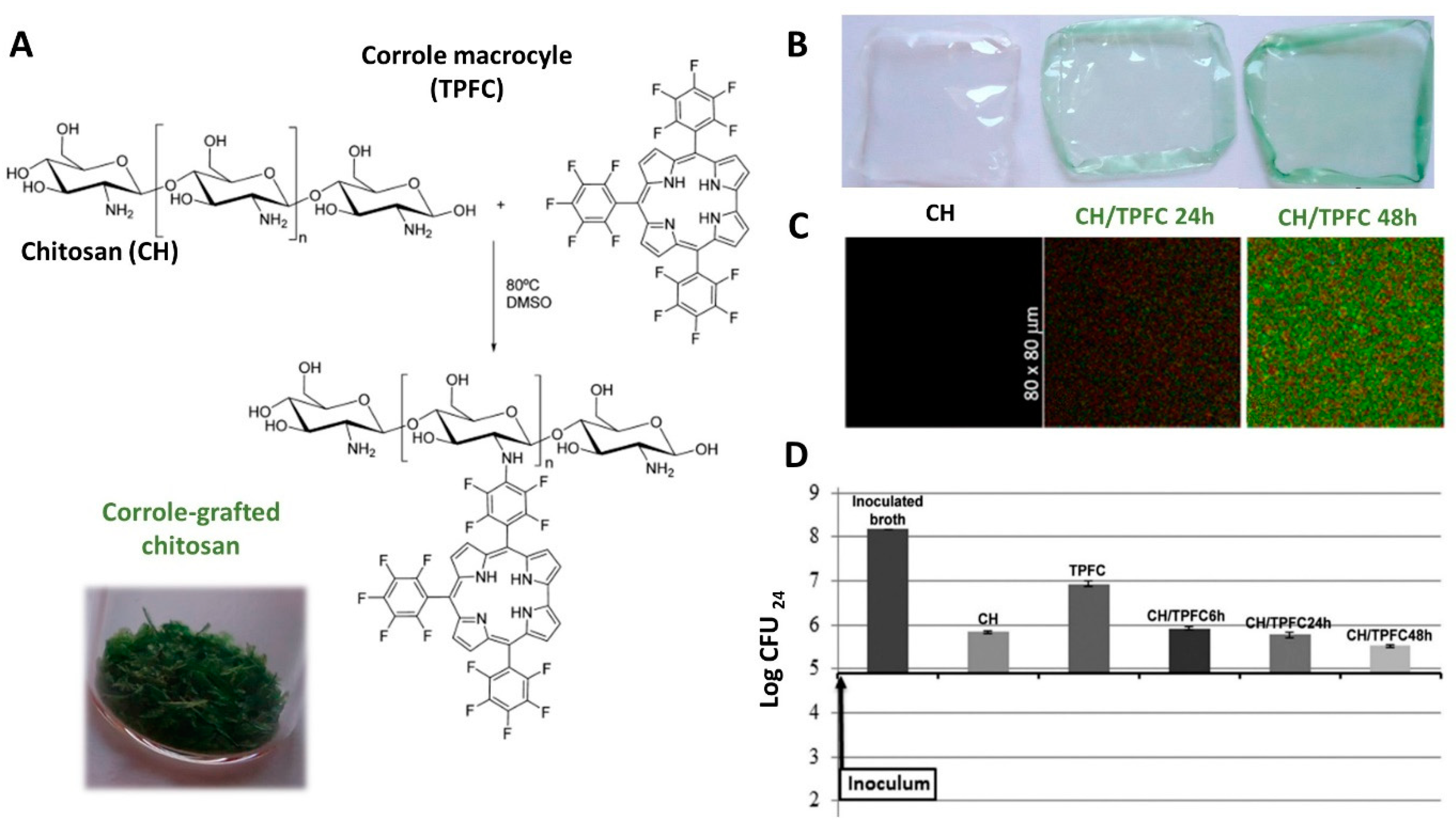 Molecules 27 00094 g003