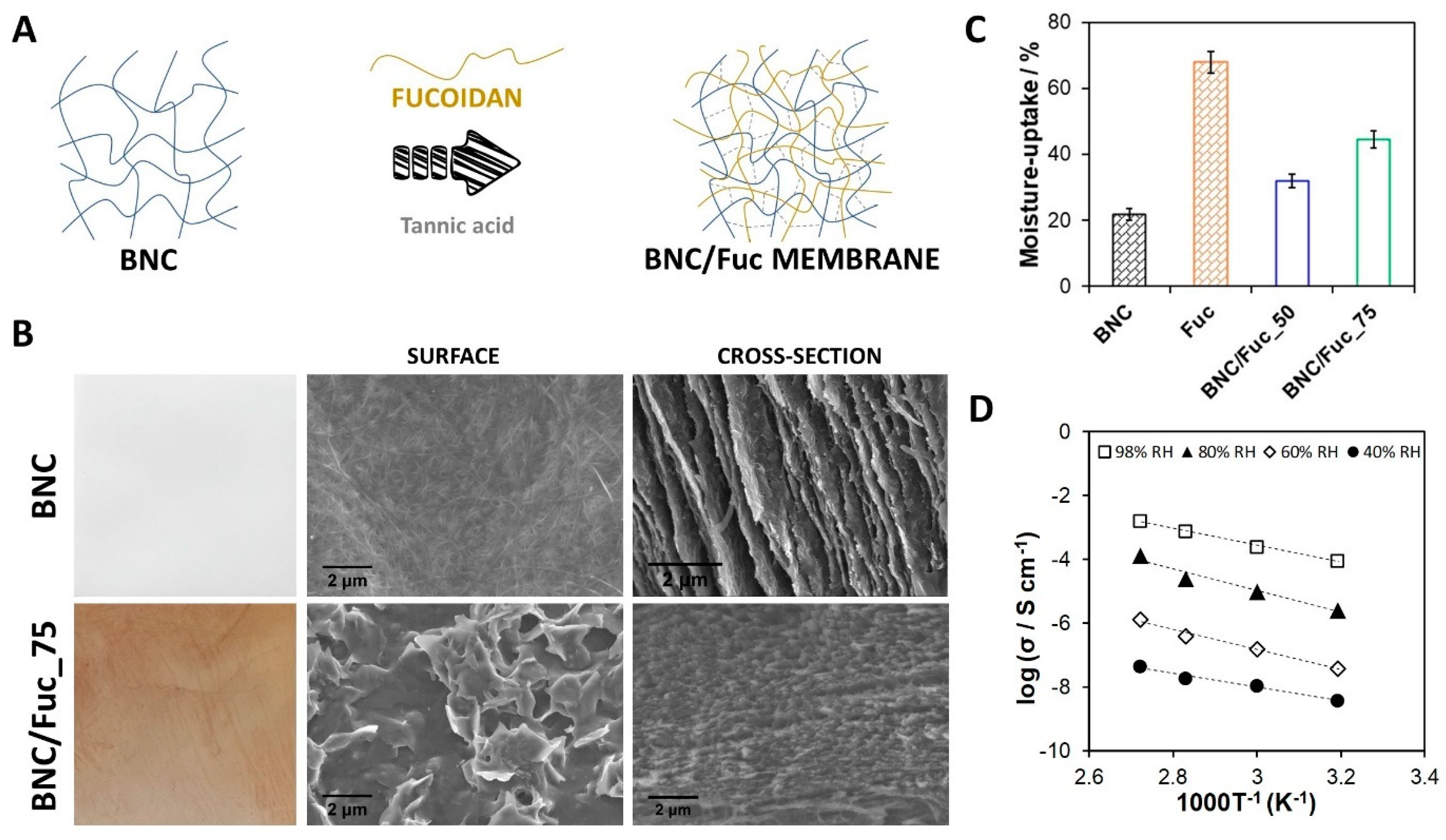 Molecules 27 00094 g005