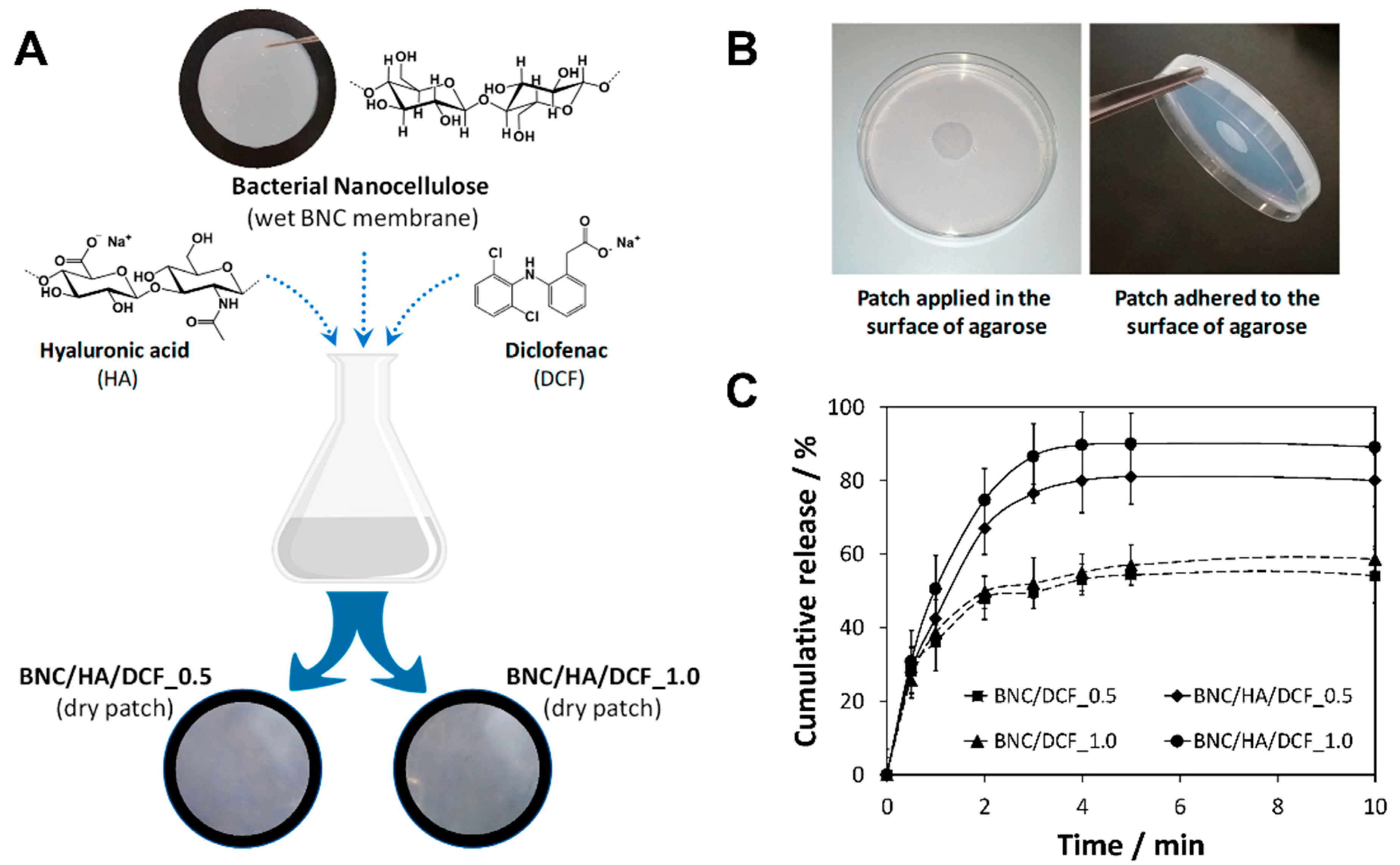 Molecules 27 00094 g006