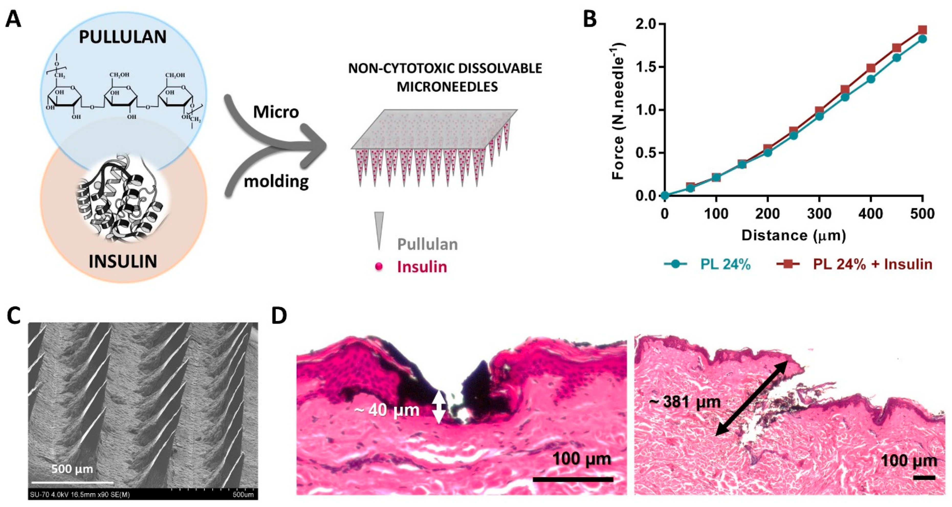 Molecules 27 00094 g007
