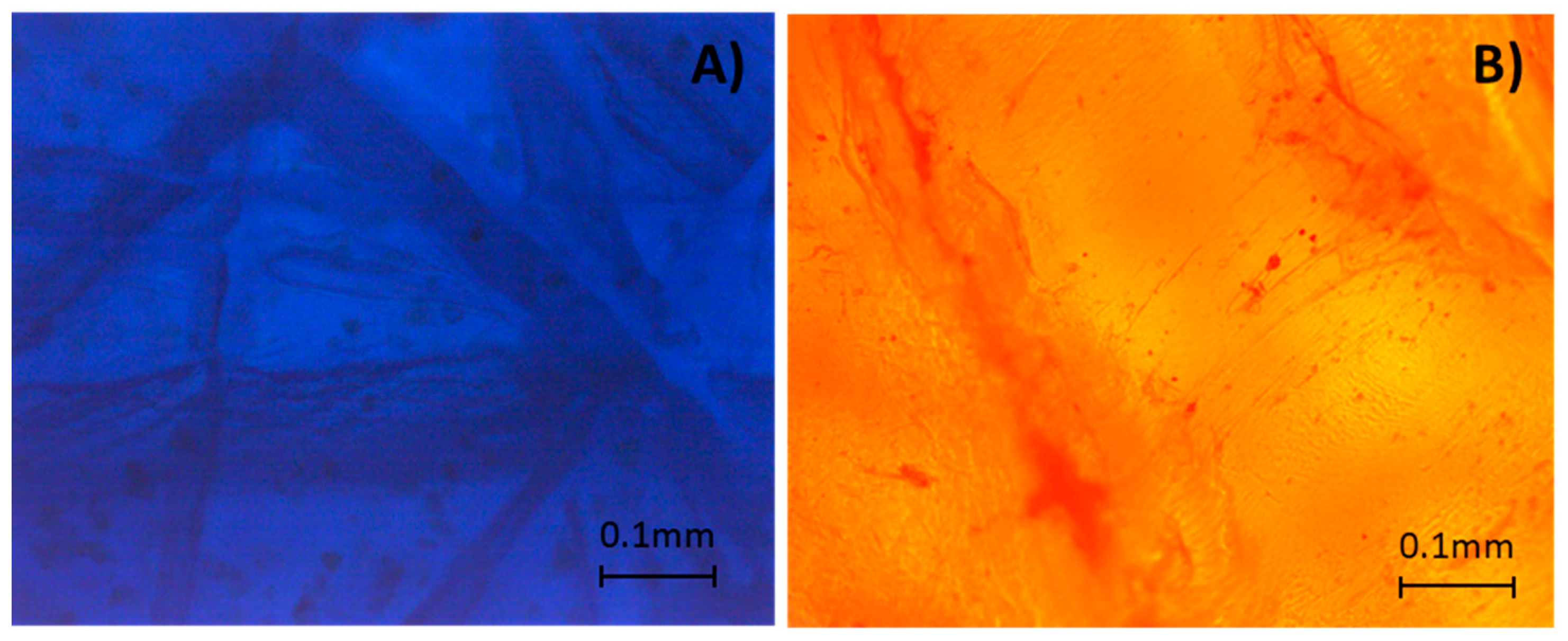 Molecules 27 00098 g001