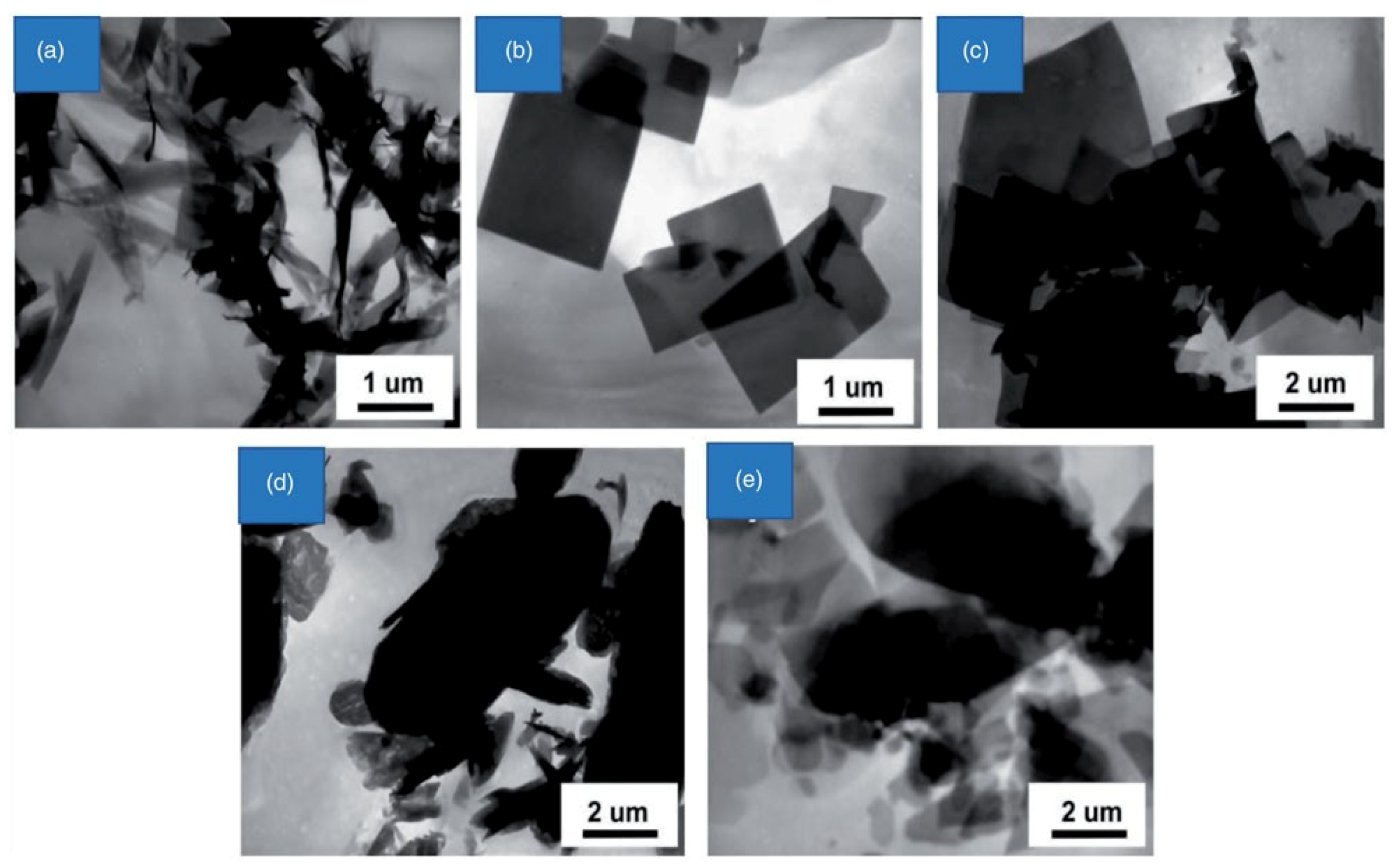 Molecules 27 00100 g002 550