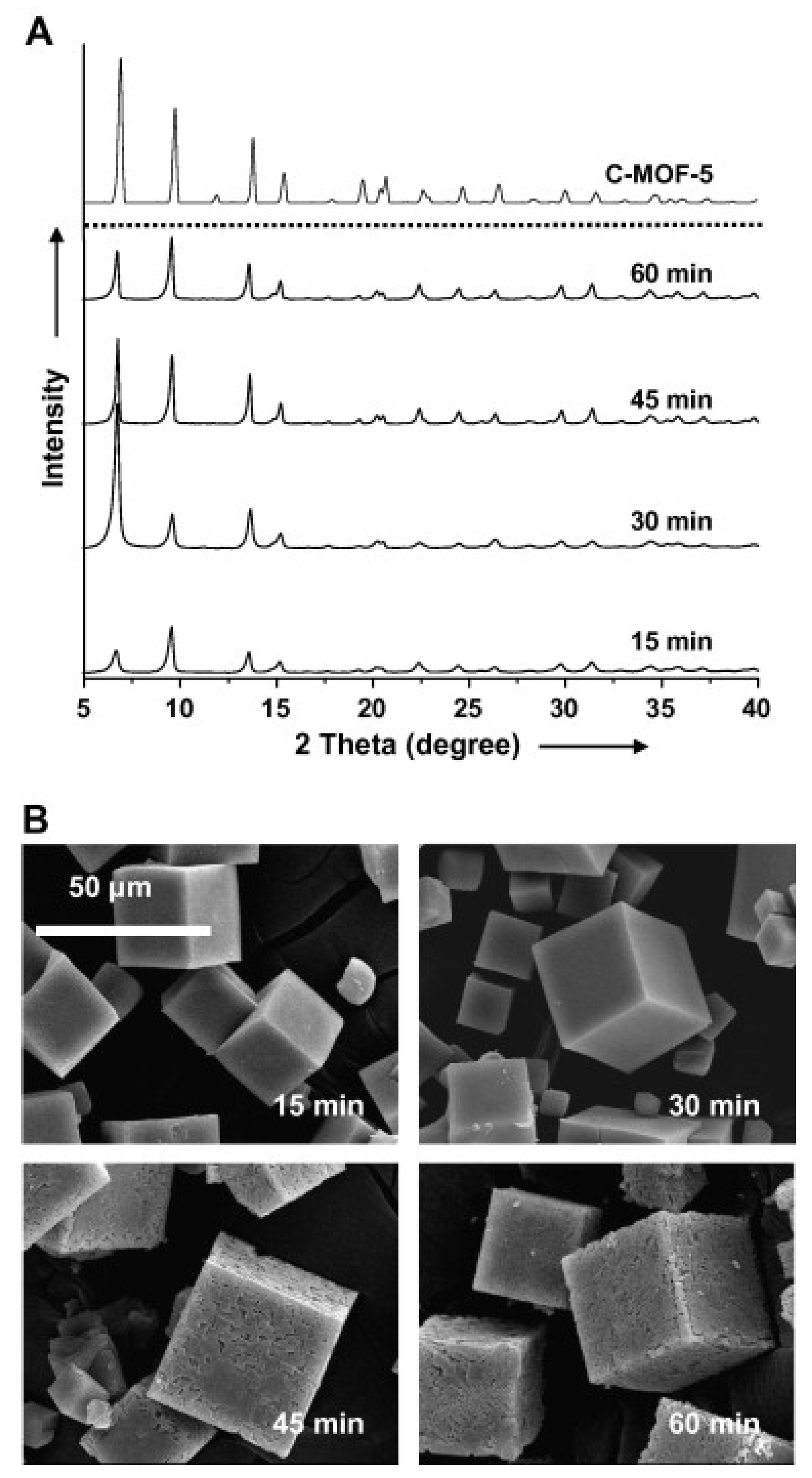 Molecules 27 00100 g003 550