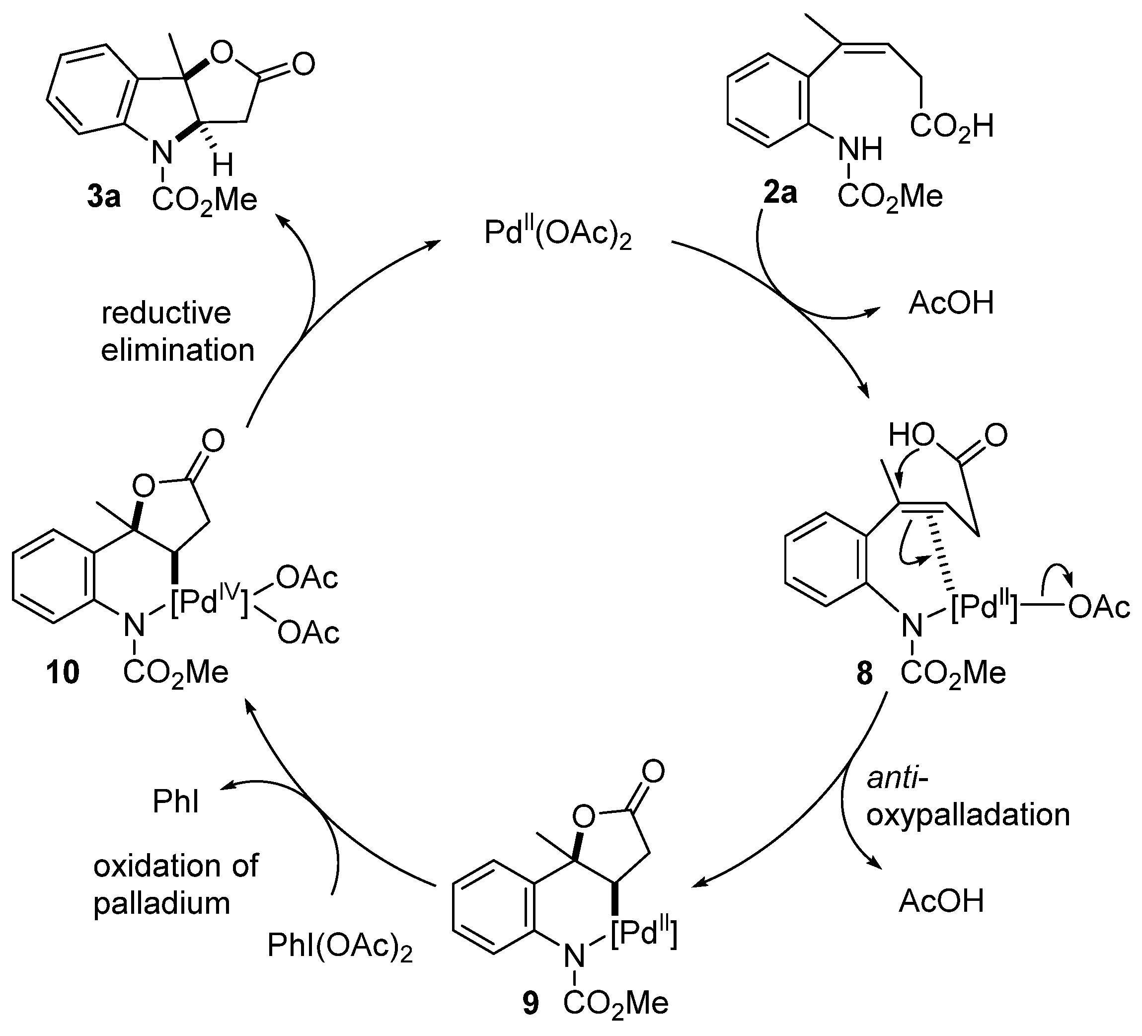 Molecules 27 00102 sch005 550