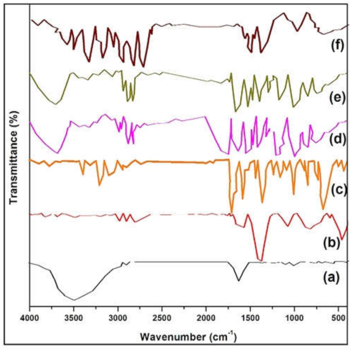 Molecules 27 00110 g003 550