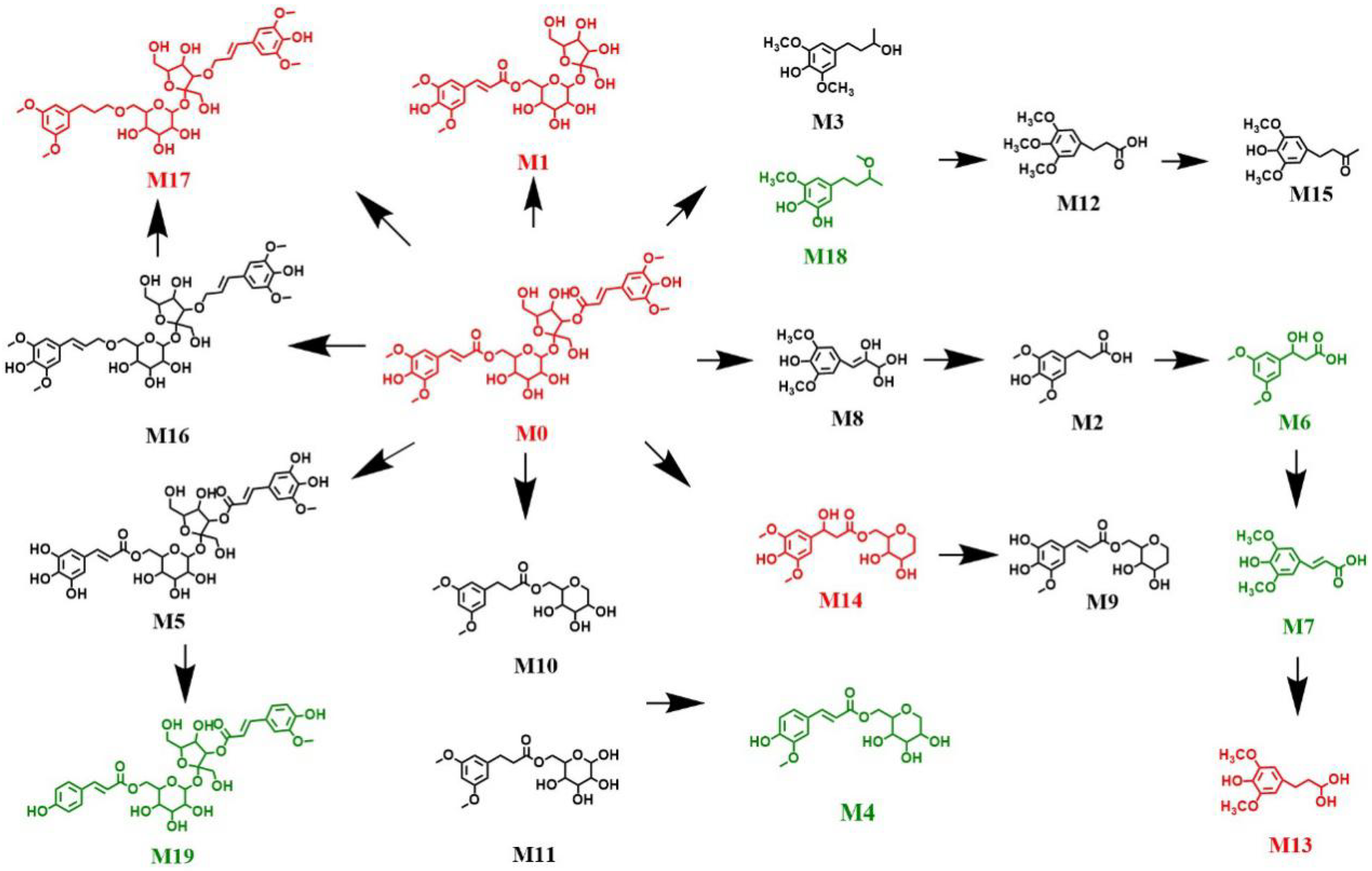 Molecules 27 00114 g007 550
