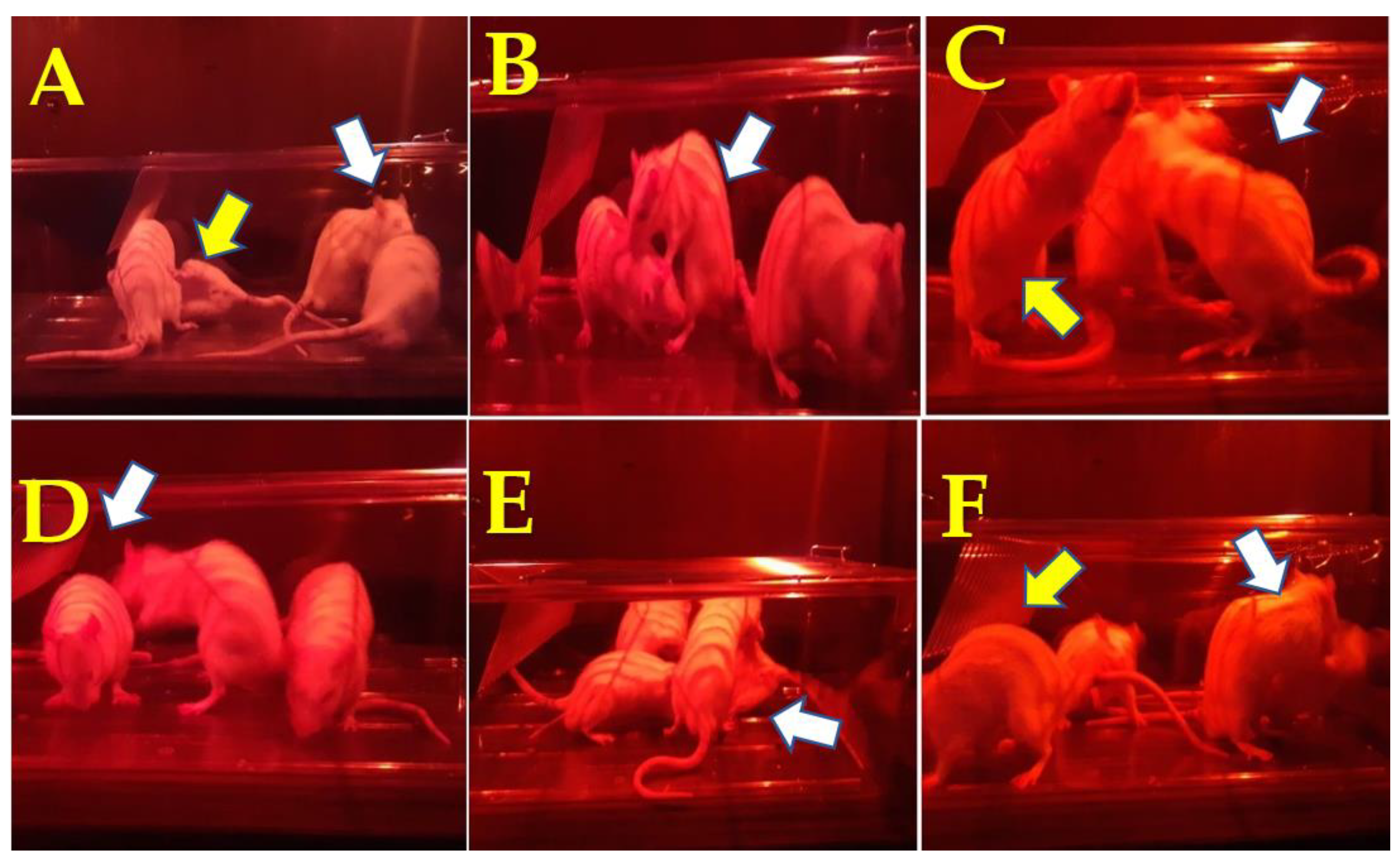 Molecules 27 00115 g003
