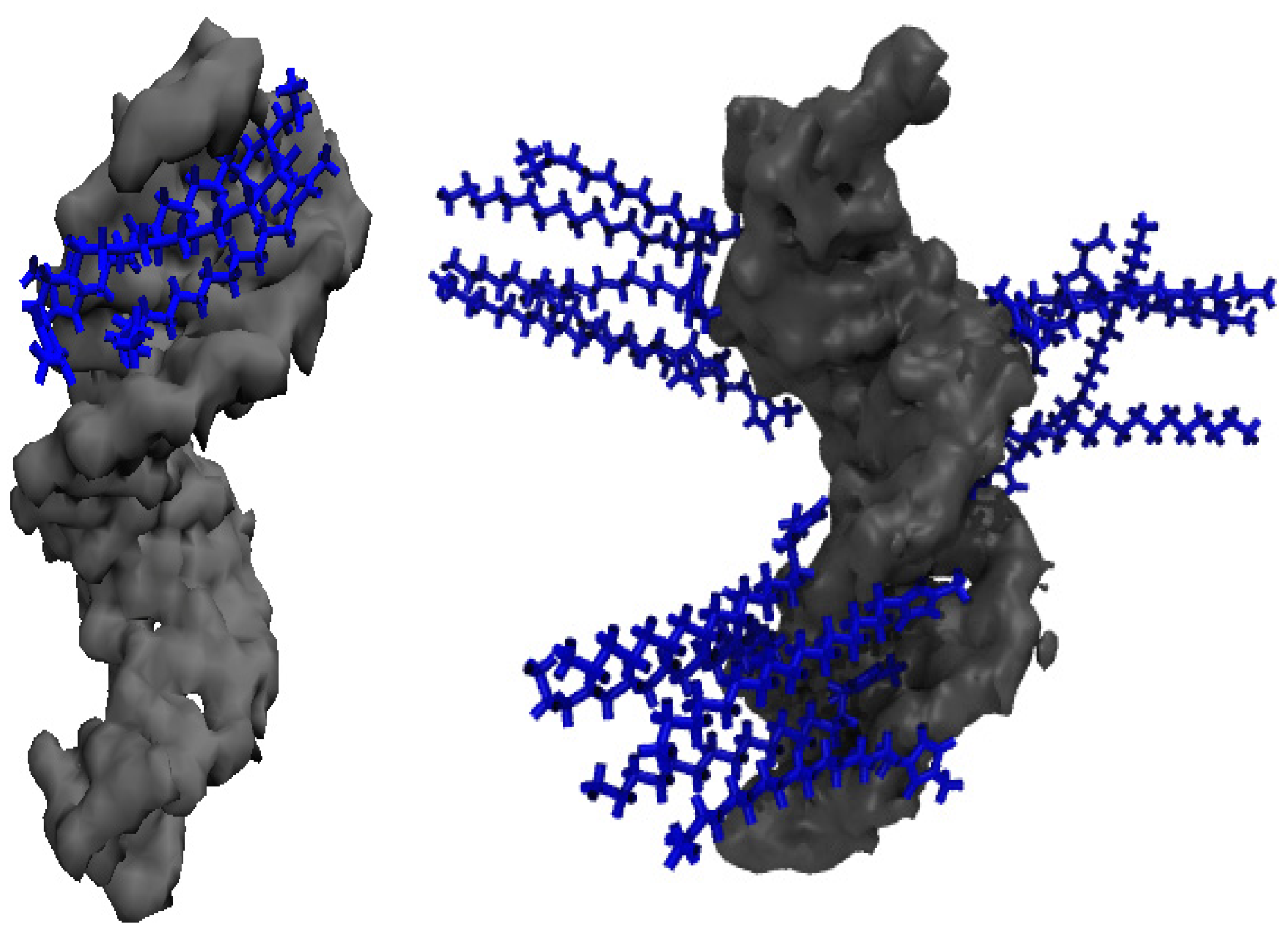 Molecules 27 00116 g008