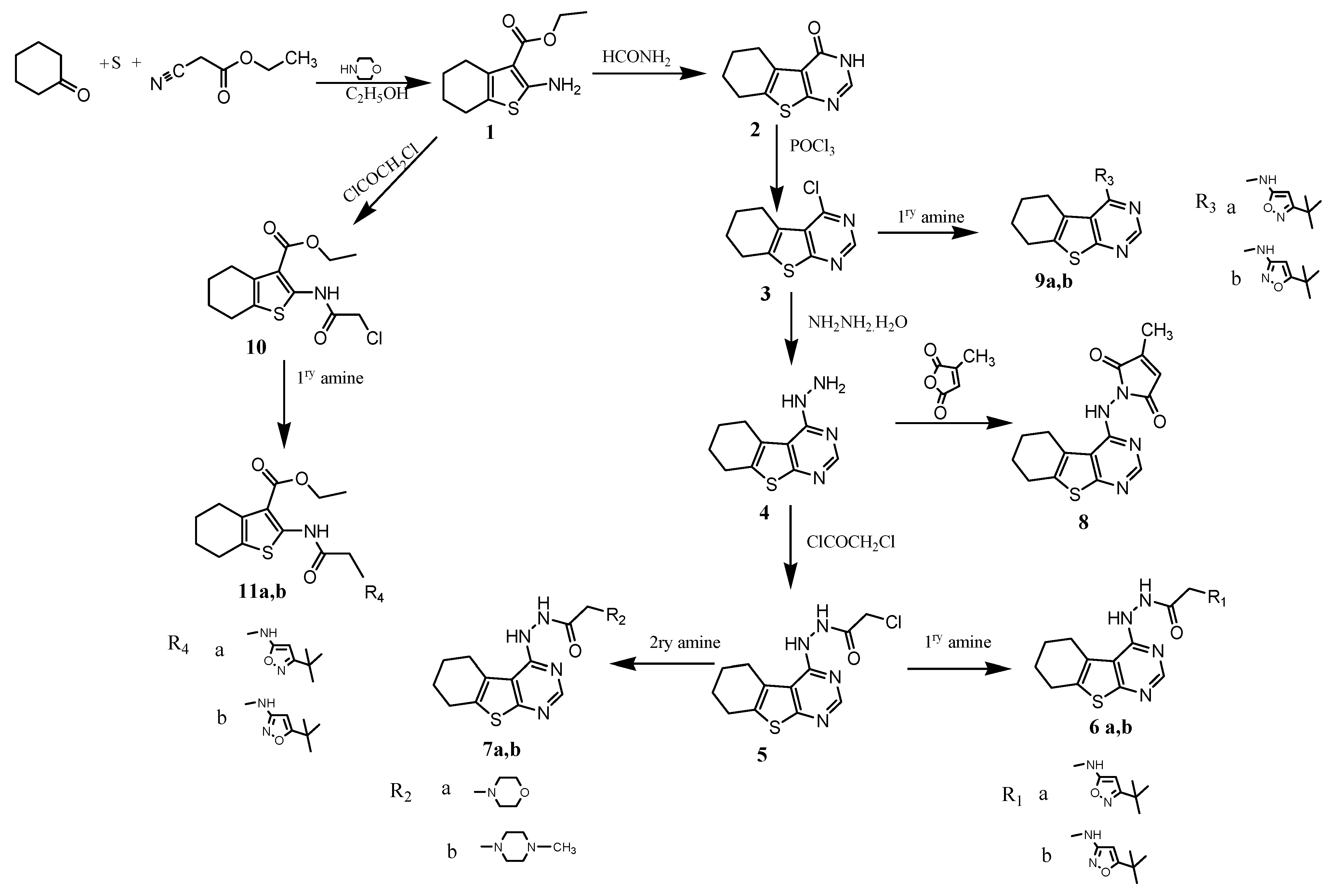 Molecules 27 00123 sch001
