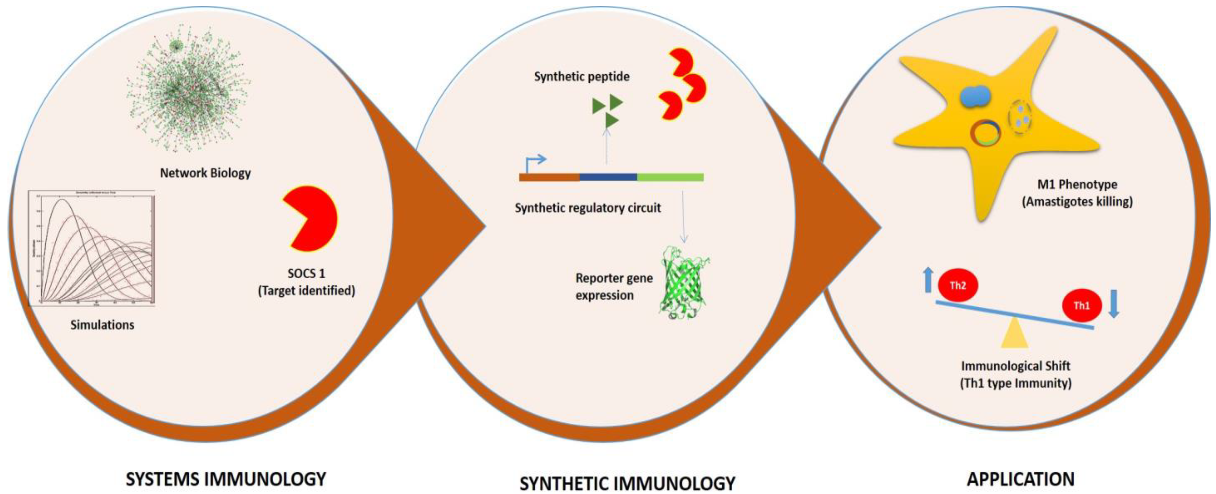 Molecules 27 00124 g001