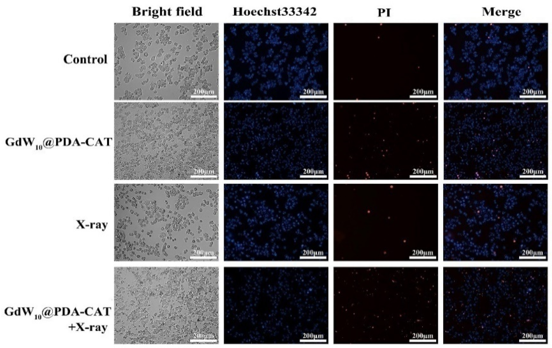 Molecules 27 00128 g003