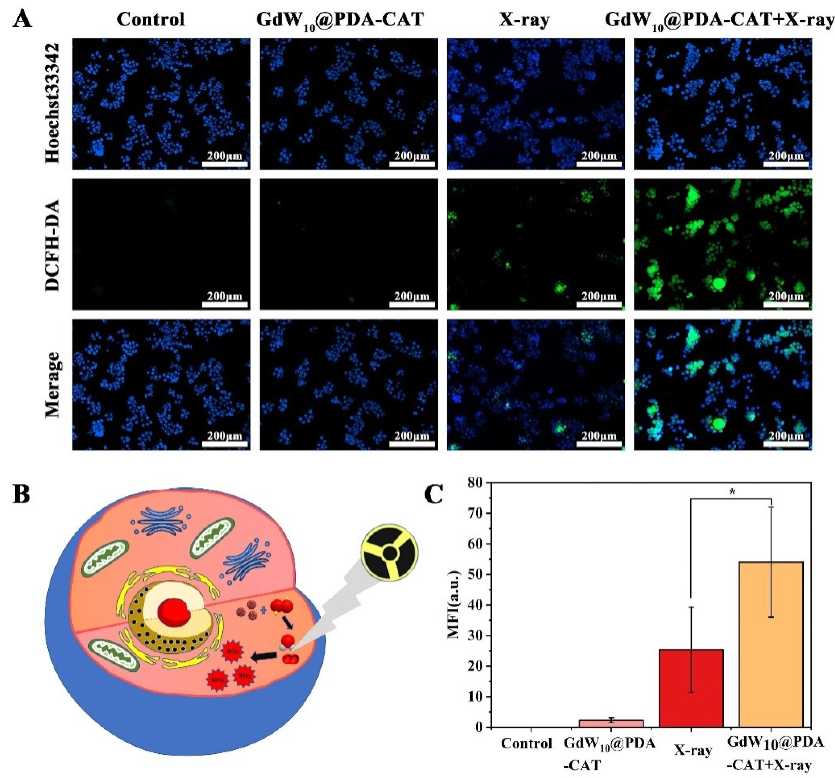Molecules 27 00128 g006