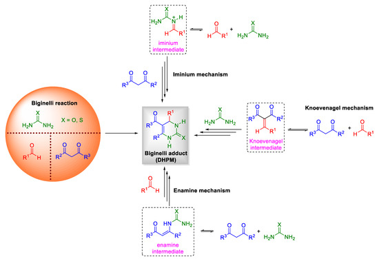 Catalytic Approaches to Multicomponent Reactions: A Critical